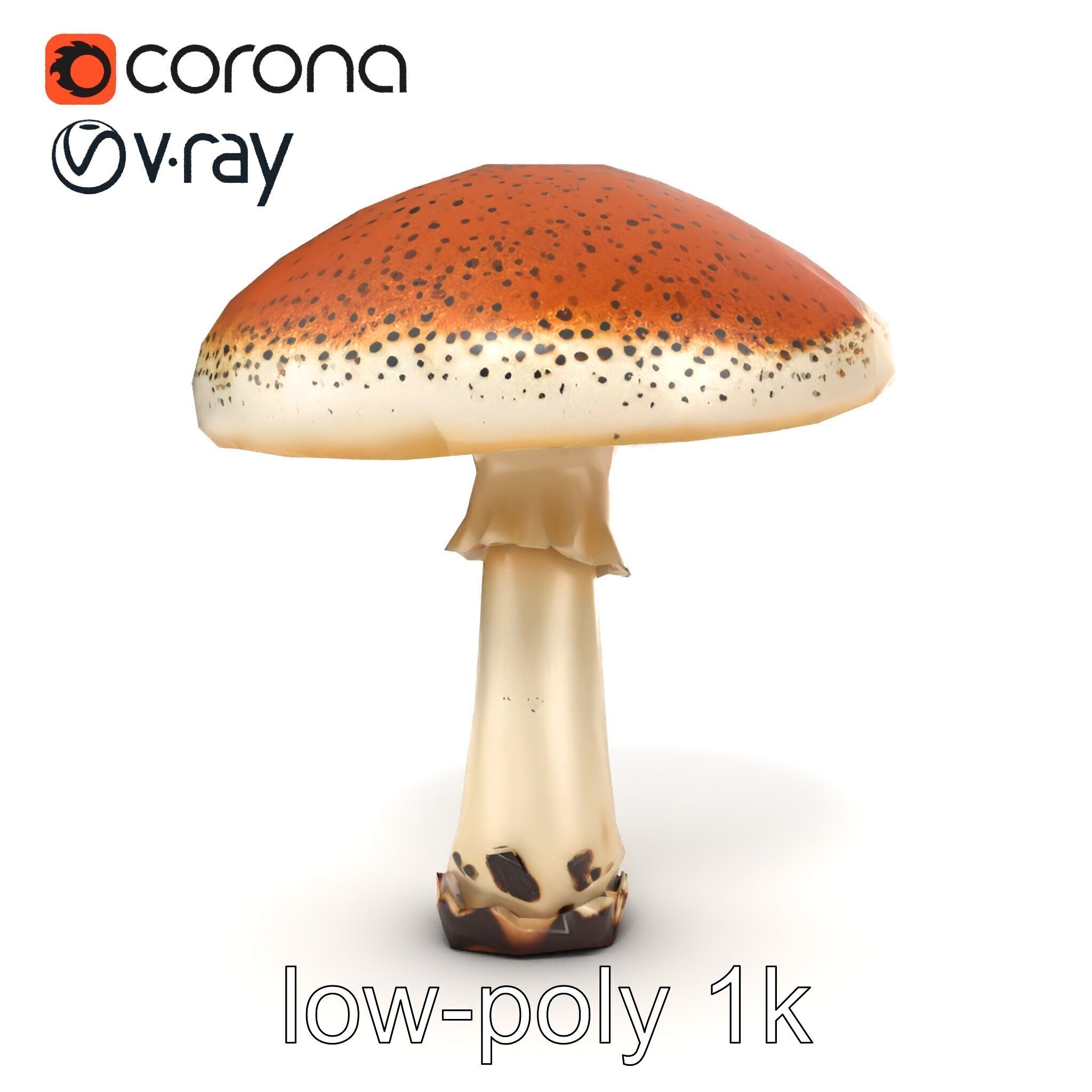 Realistic Mushroom Model Pack with Natural Textures Low-poly 3D model_21