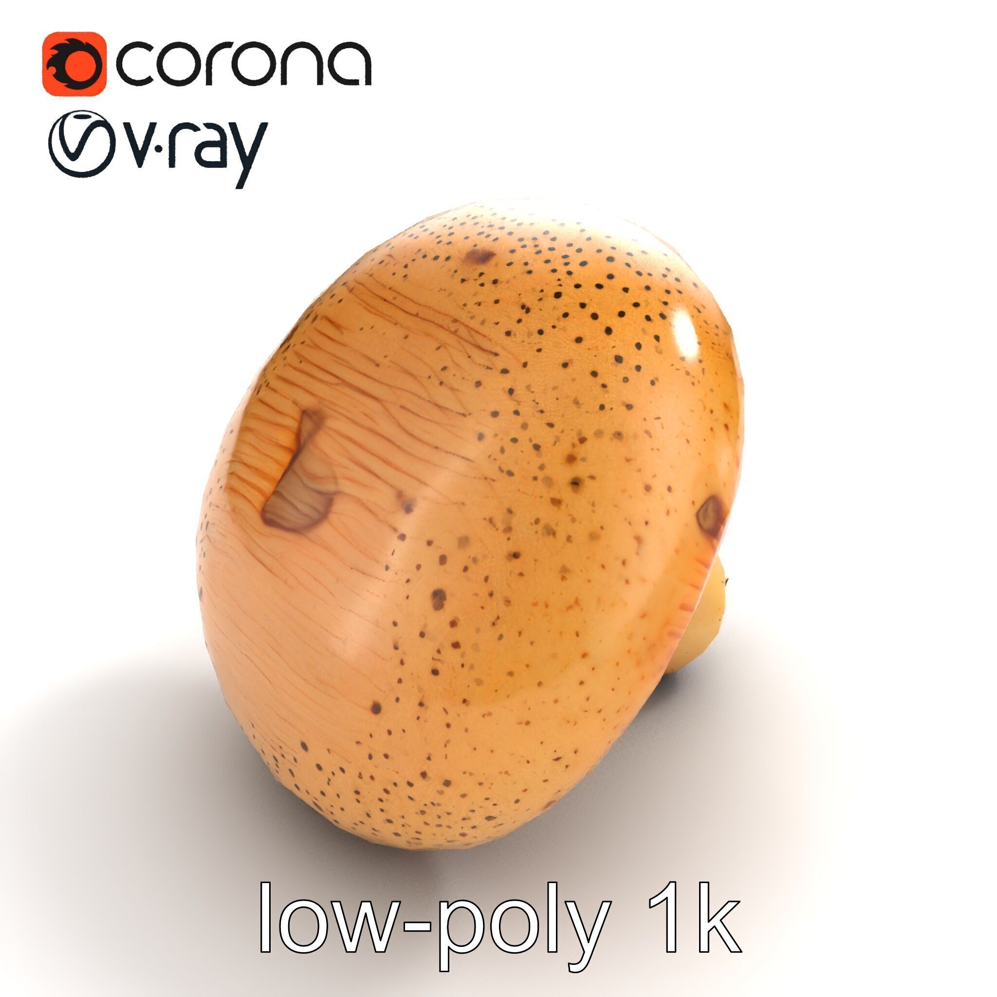 Realistic Mushroom Model Pack with Natural Textures Low-poly 3D model_39