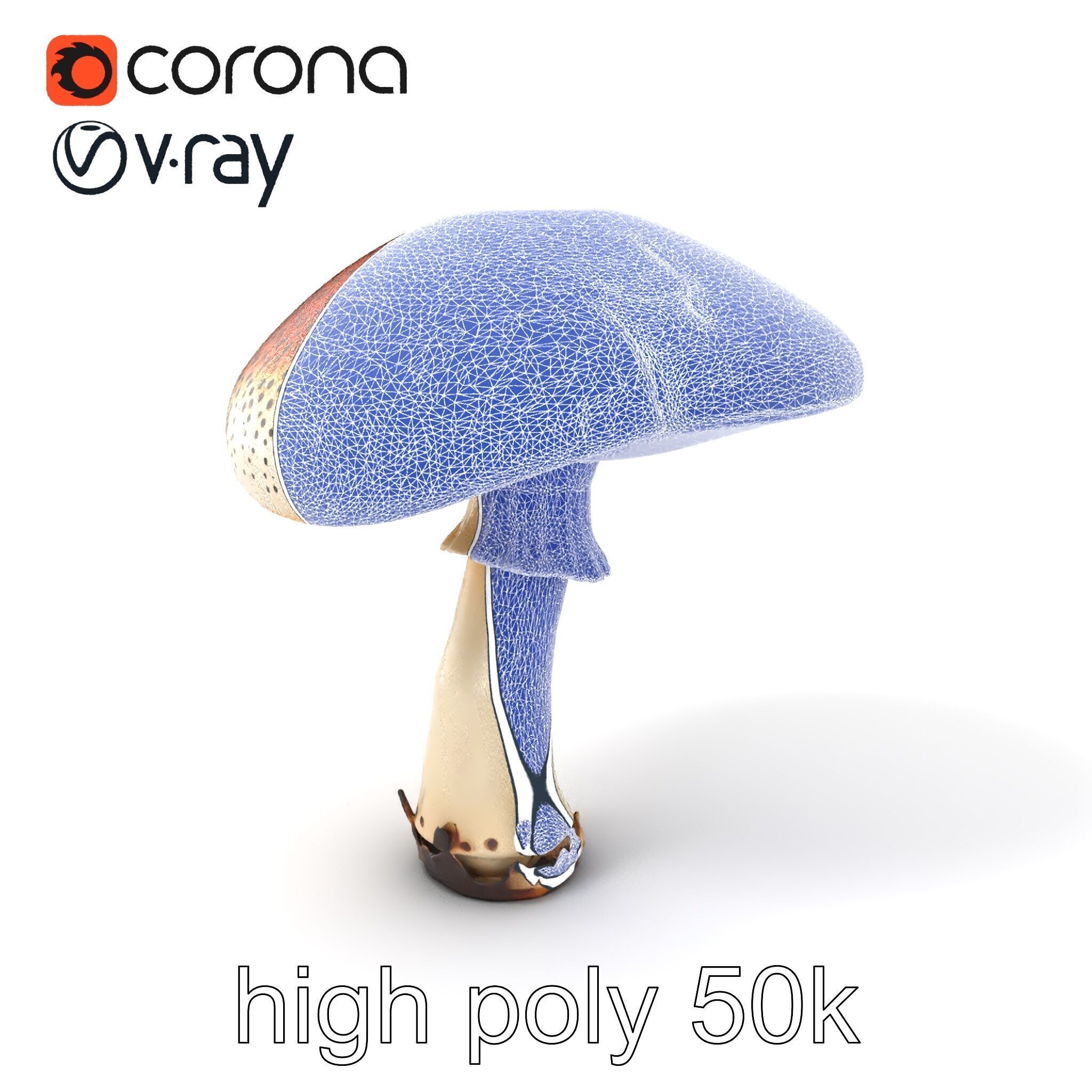 Realistic Mushroom Model Pack with Natural Textures Low-poly 3D model_1