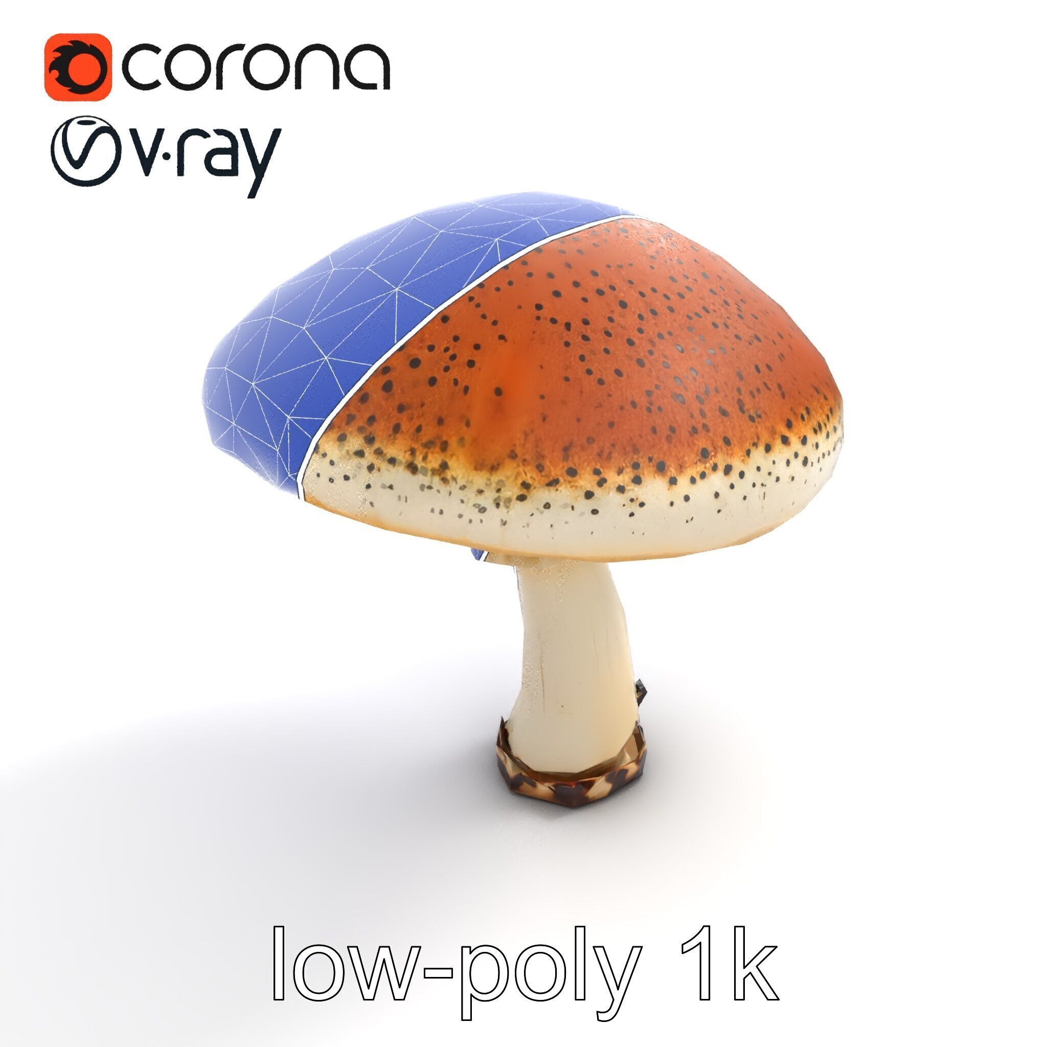 Realistic Mushroom Model Pack with Natural Textures Low-poly 3D model_28