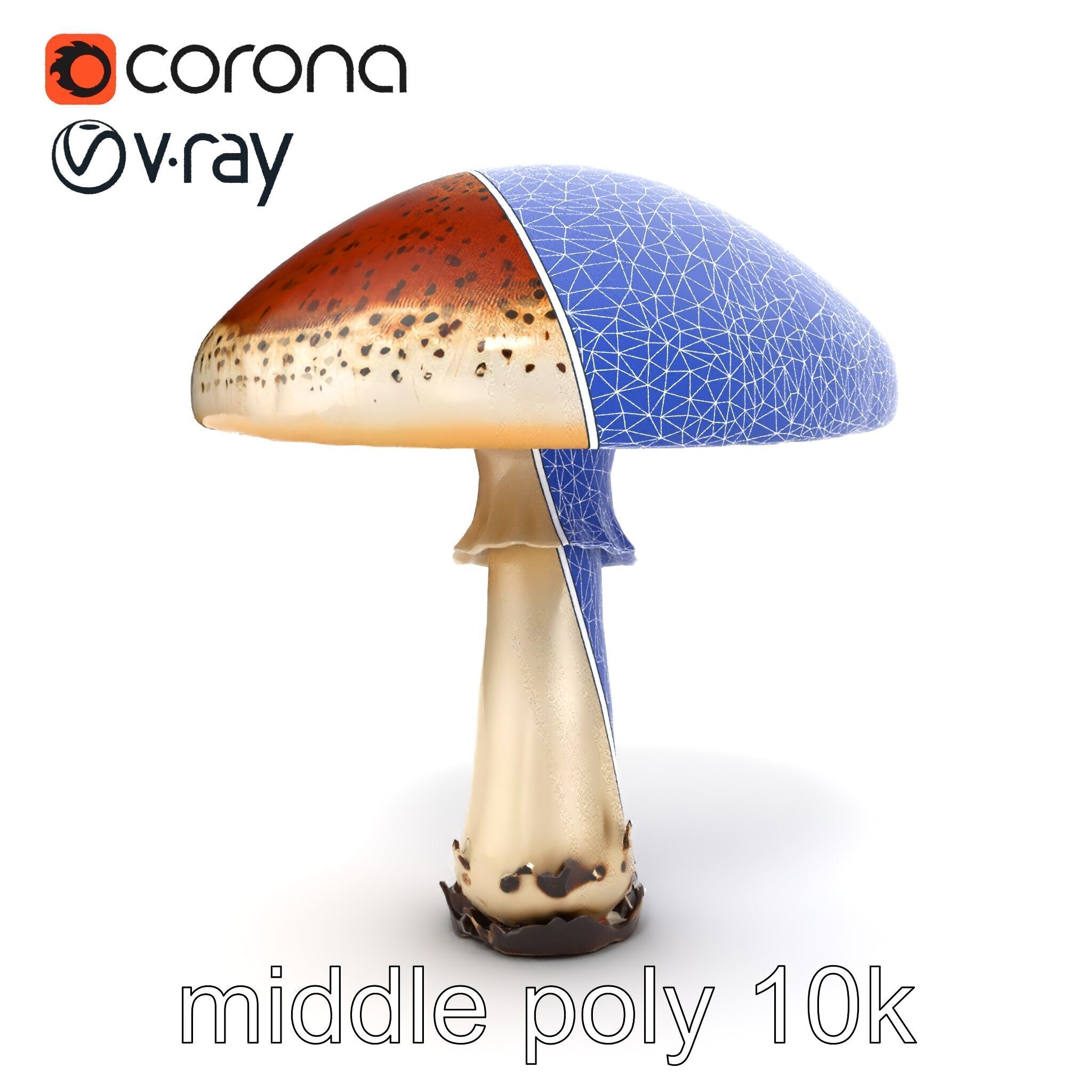 Realistic Mushroom Model Pack with Natural Textures Low-poly 3D model_19