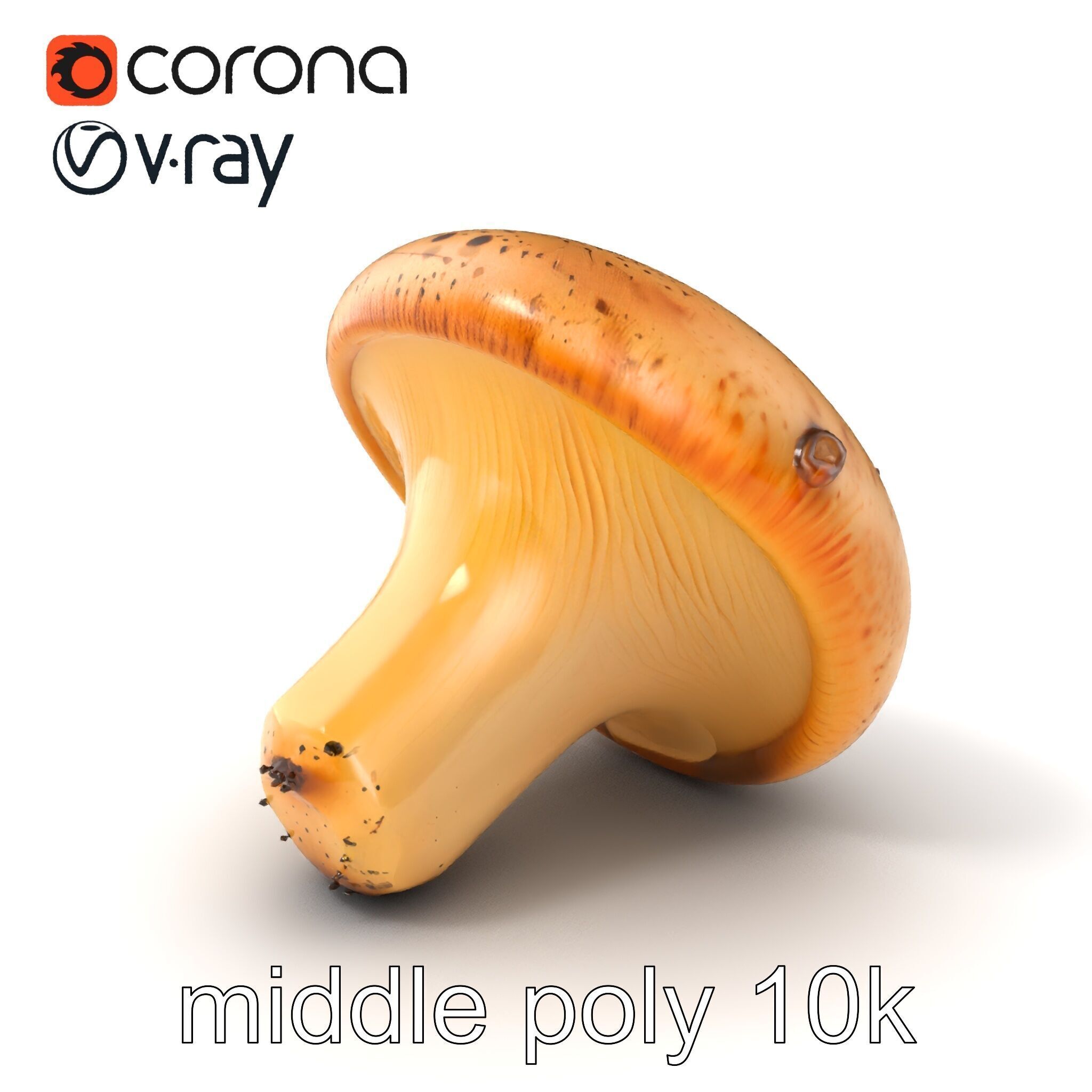 Realistic Mushroom Model Pack with Natural Textures Low-poly 3D model_34