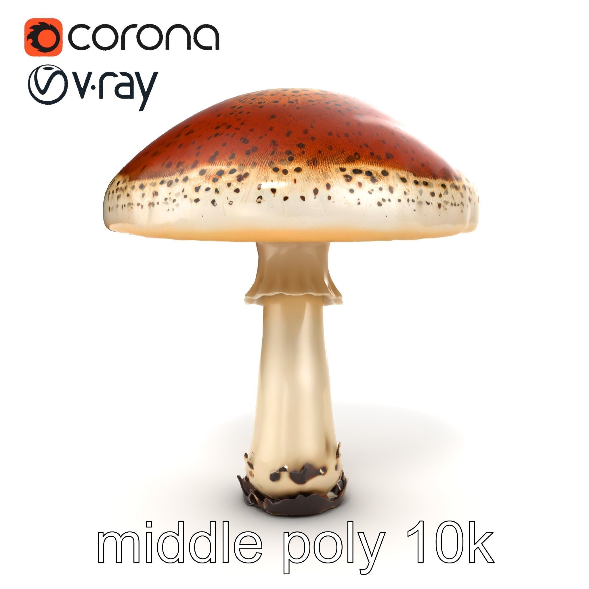 Realistic Mushroom Model Pack with Natural Textures Low-poly 3D model_29