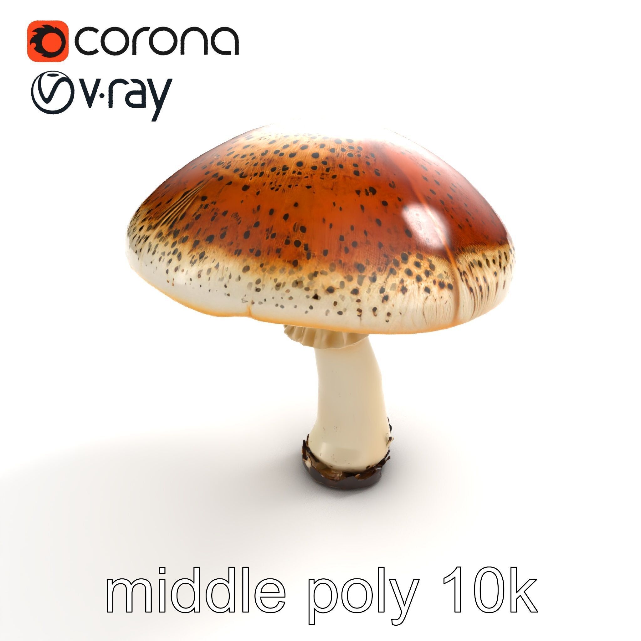Realistic Mushroom Model Pack with Natural Textures Low-poly 3D model_7