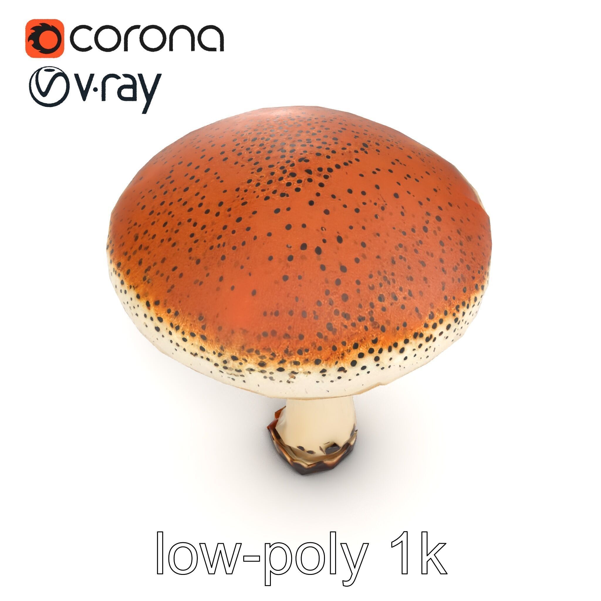 Realistic Mushroom Model Pack with Natural Textures Low-poly 3D model_17
