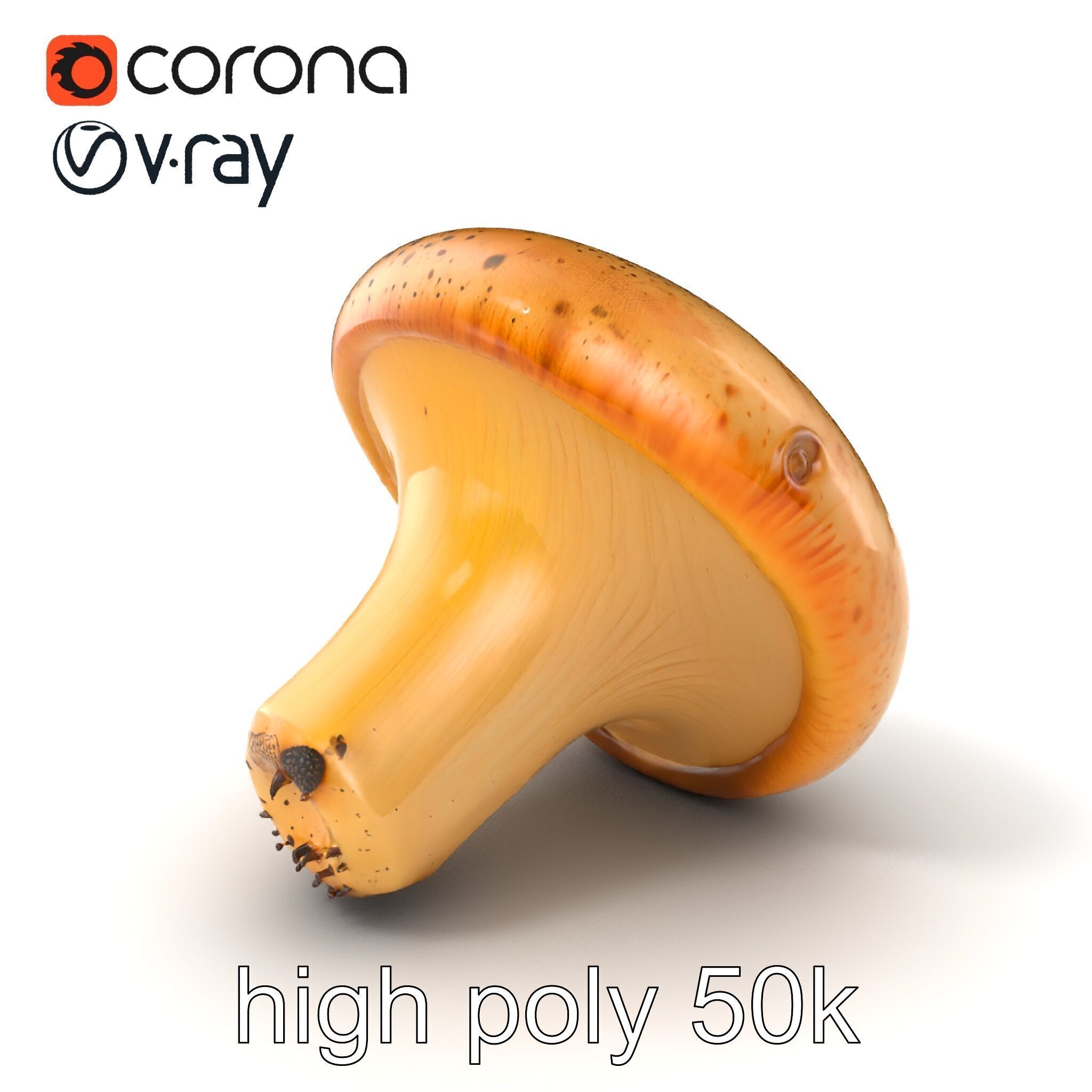 Realistic Mushroom Model Pack with Natural Textures Low-poly 3D model_33