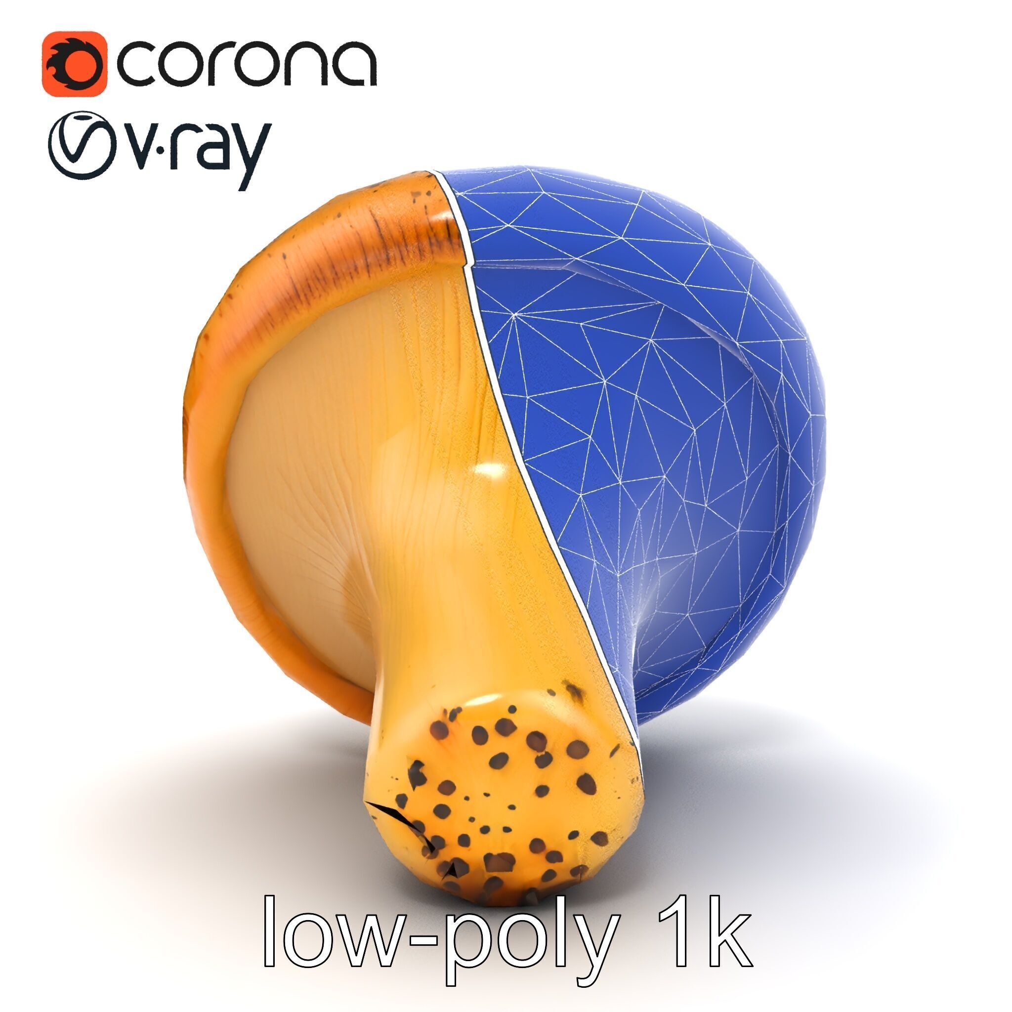 Realistic Mushroom Model Pack with Natural Textures Low-poly 3D model_54