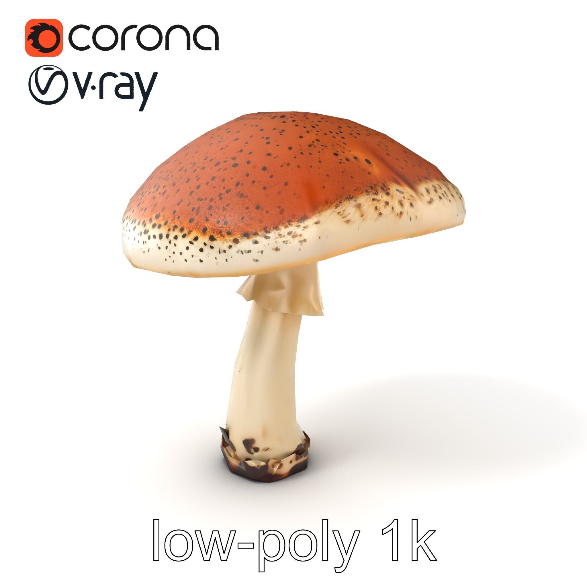 Realistic Mushroom Model Pack with Natural Textures Low-poly 3D model_4