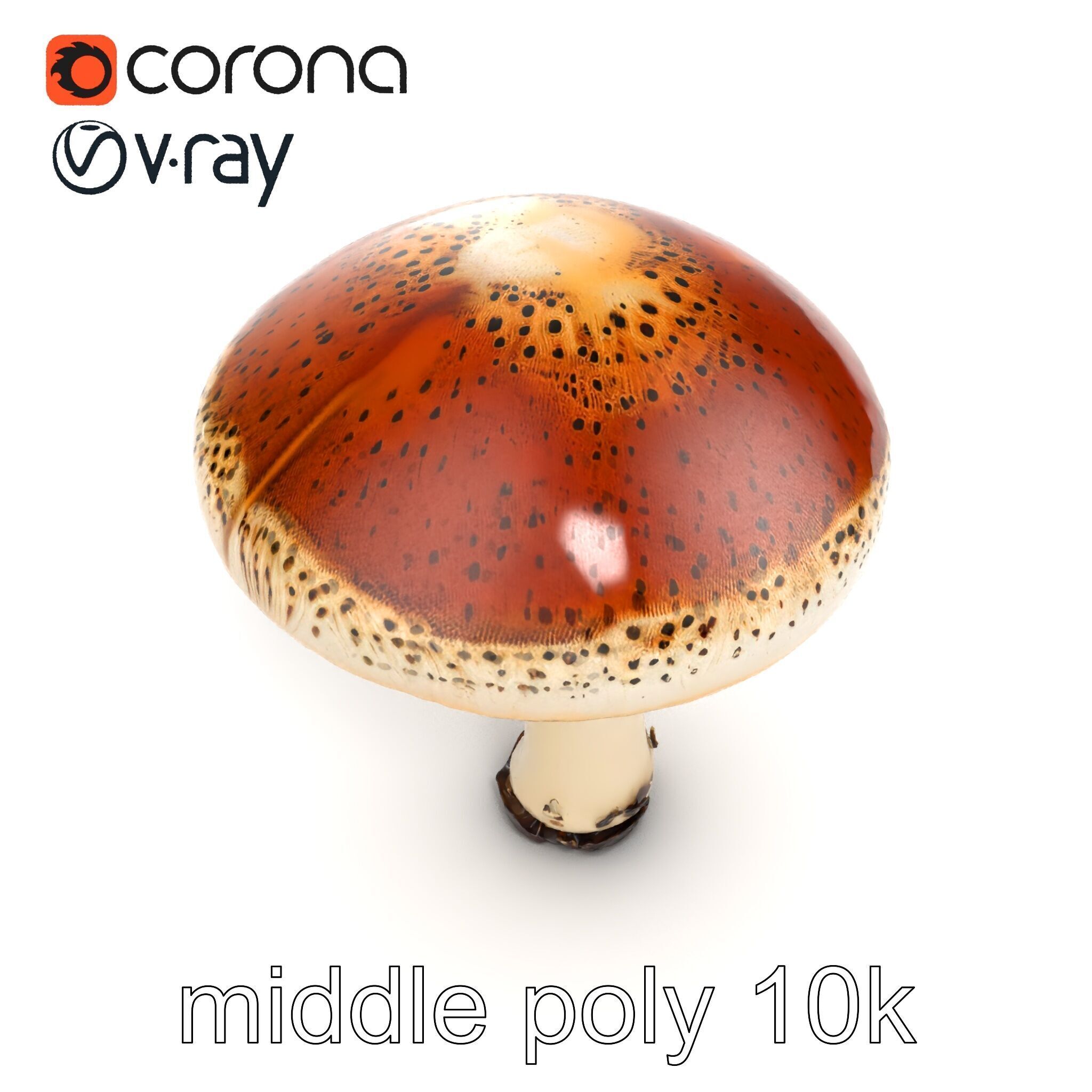Realistic Mushroom Model Pack with Natural Textures Low-poly 3D model_15