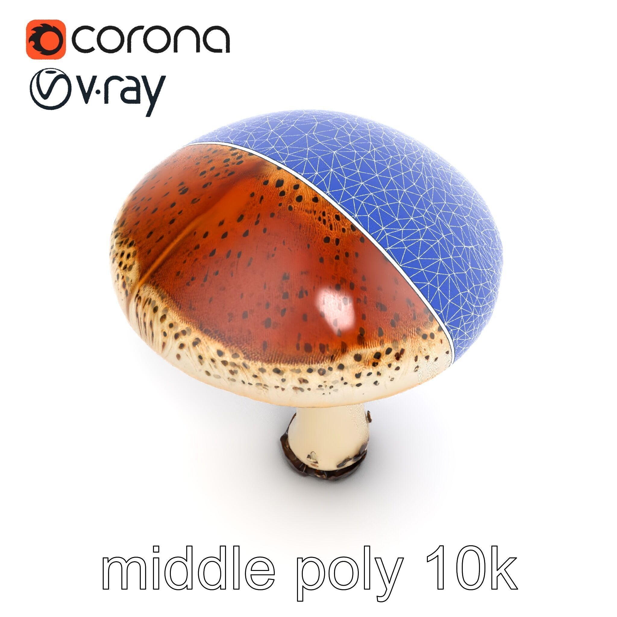 Realistic Mushroom Model Pack with Natural Textures Low-poly 3D model_12
