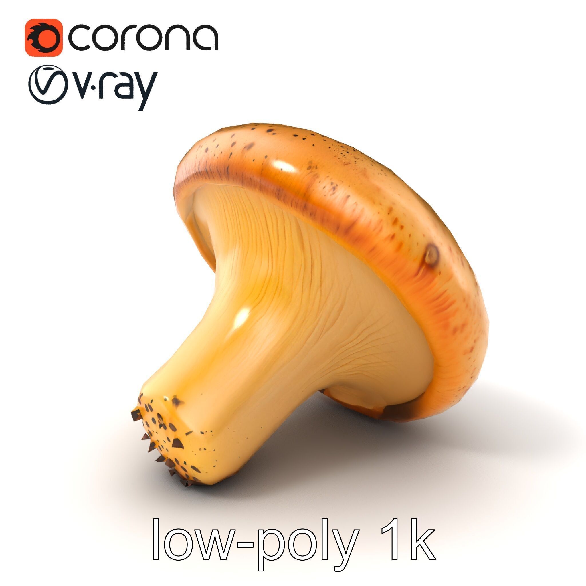 Realistic Mushroom Model Pack with Natural Textures Low-poly 3D model_35