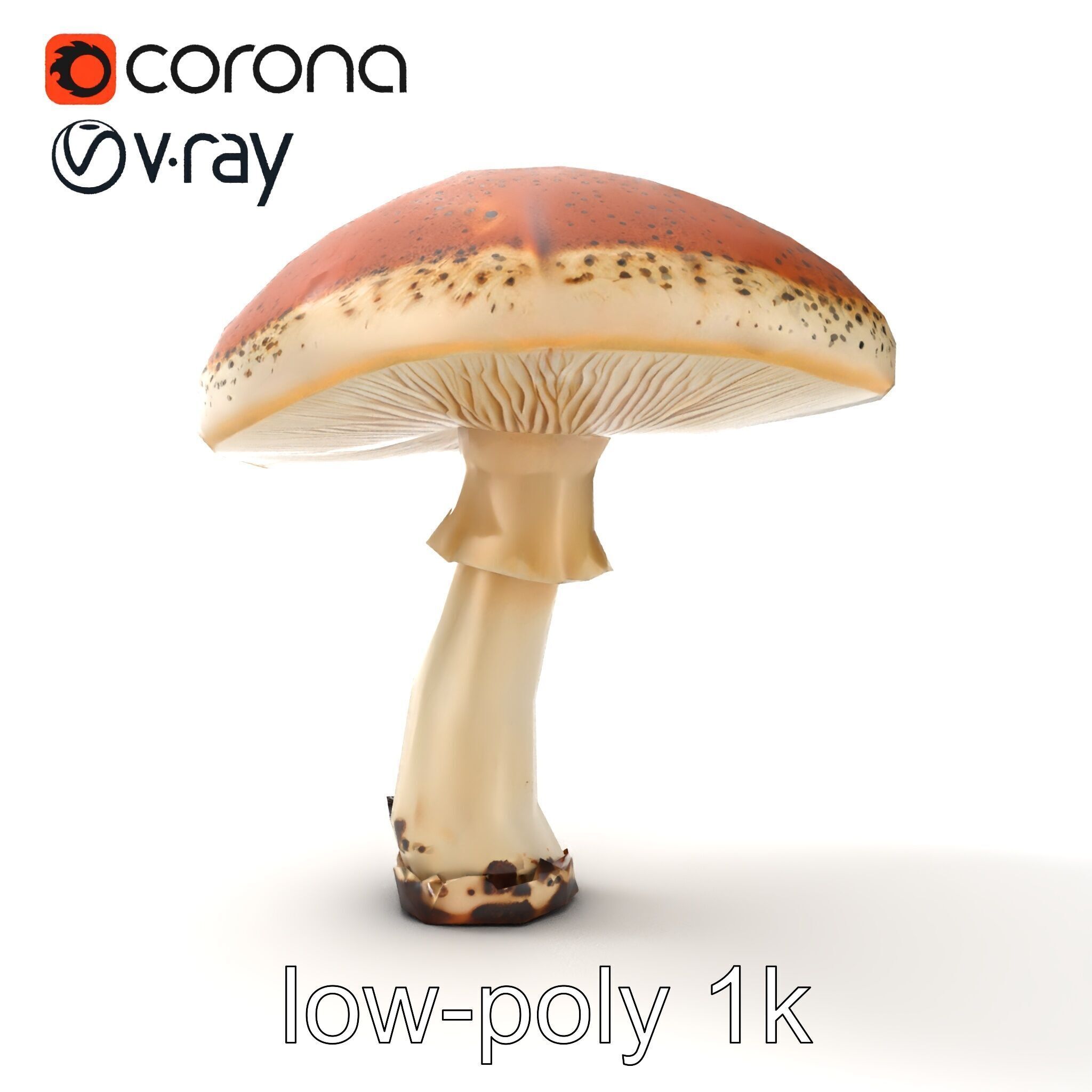 Realistic Mushroom Model Pack with Natural Textures Low-poly 3D model_22