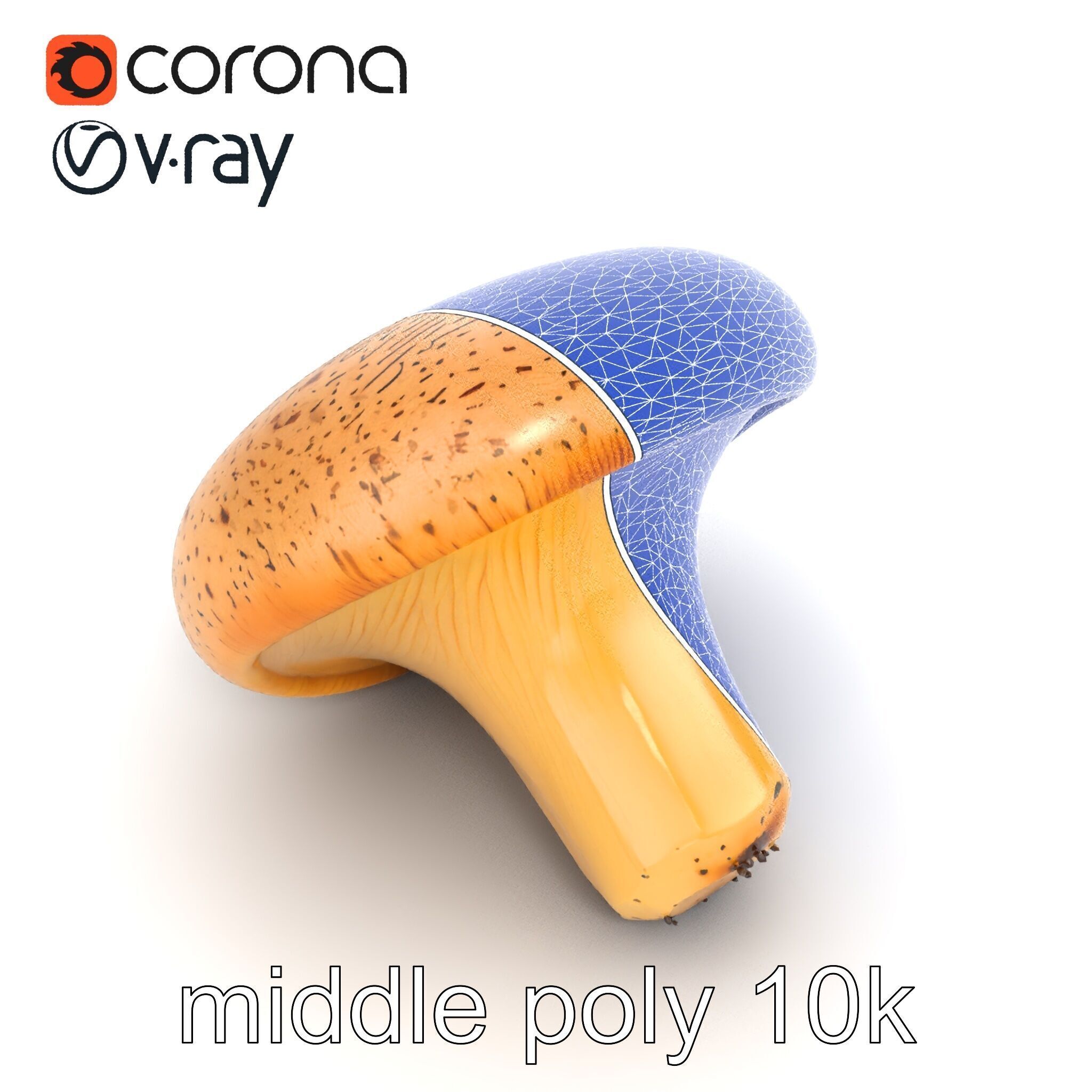 Realistic Mushroom Model Pack with Natural Textures Low-poly 3D model_55