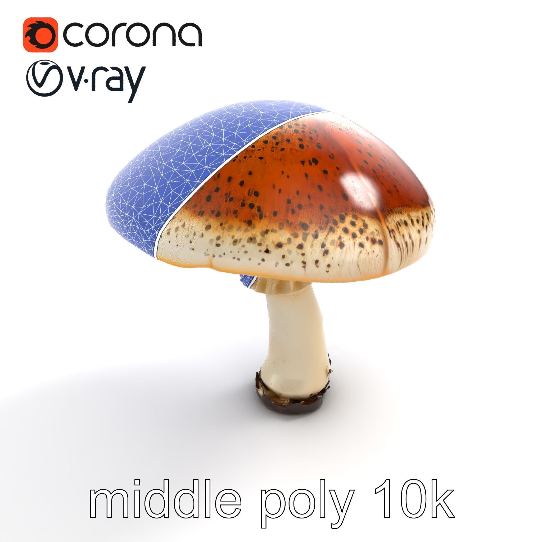 Realistic Mushroom Model Pack with Natural Textures Low-poly 3D model_10