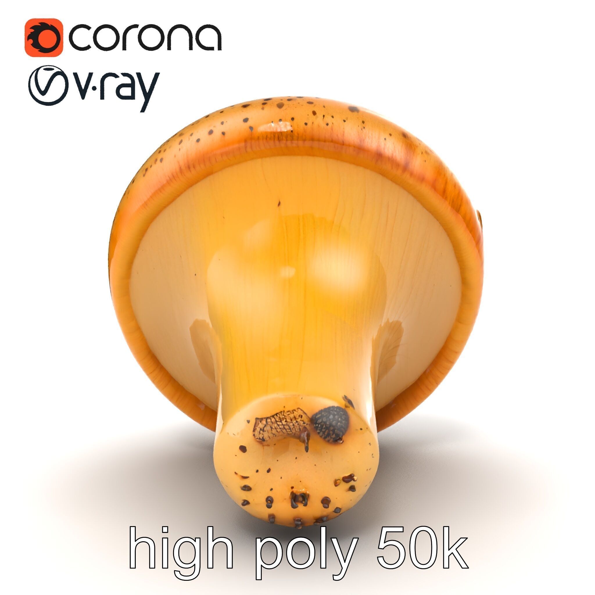 Realistic Mushroom Model Pack with Natural Textures Low-poly 3D model_45
