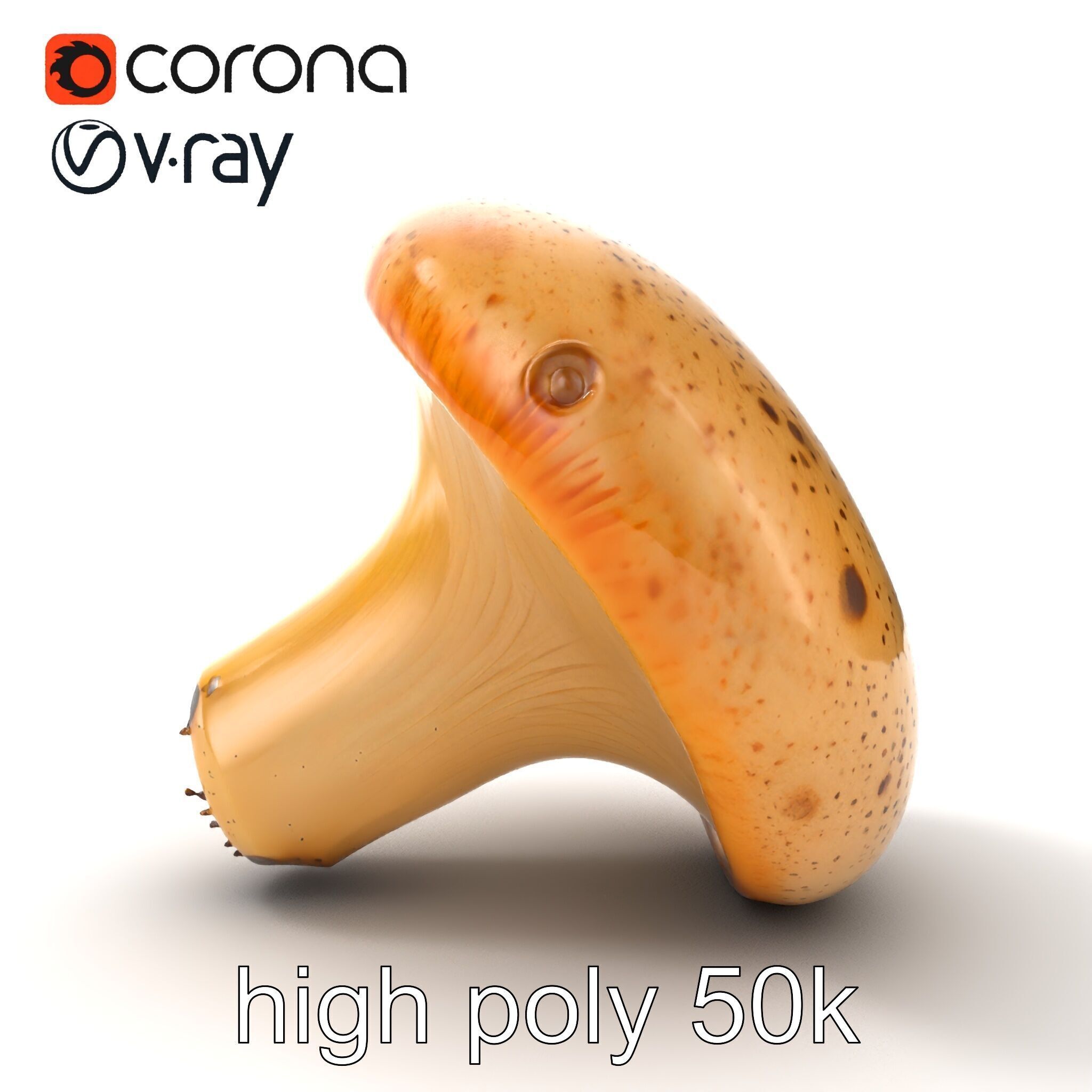 Realistic Mushroom Model Pack with Natural Textures Low-poly 3D model_51