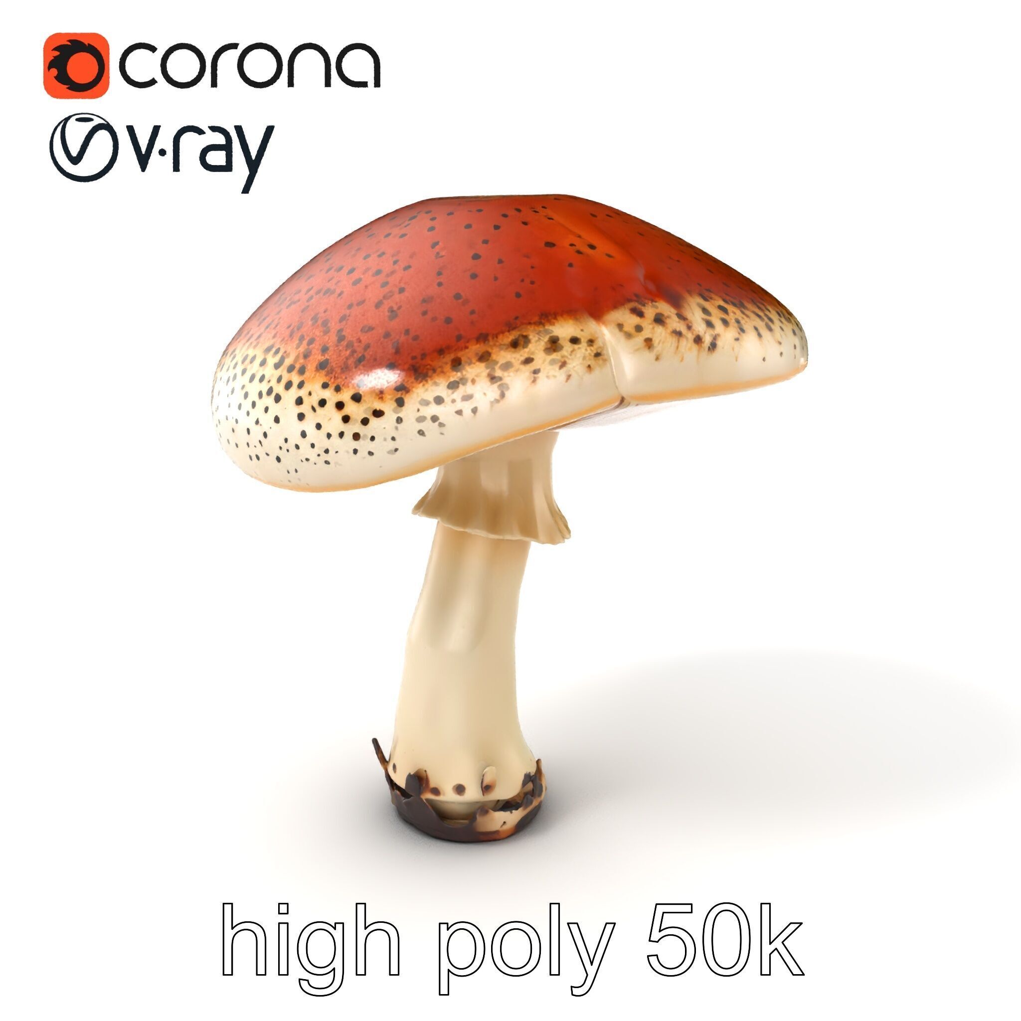 Realistic Mushroom Model Pack with Natural Textures Low-poly 3D model_2