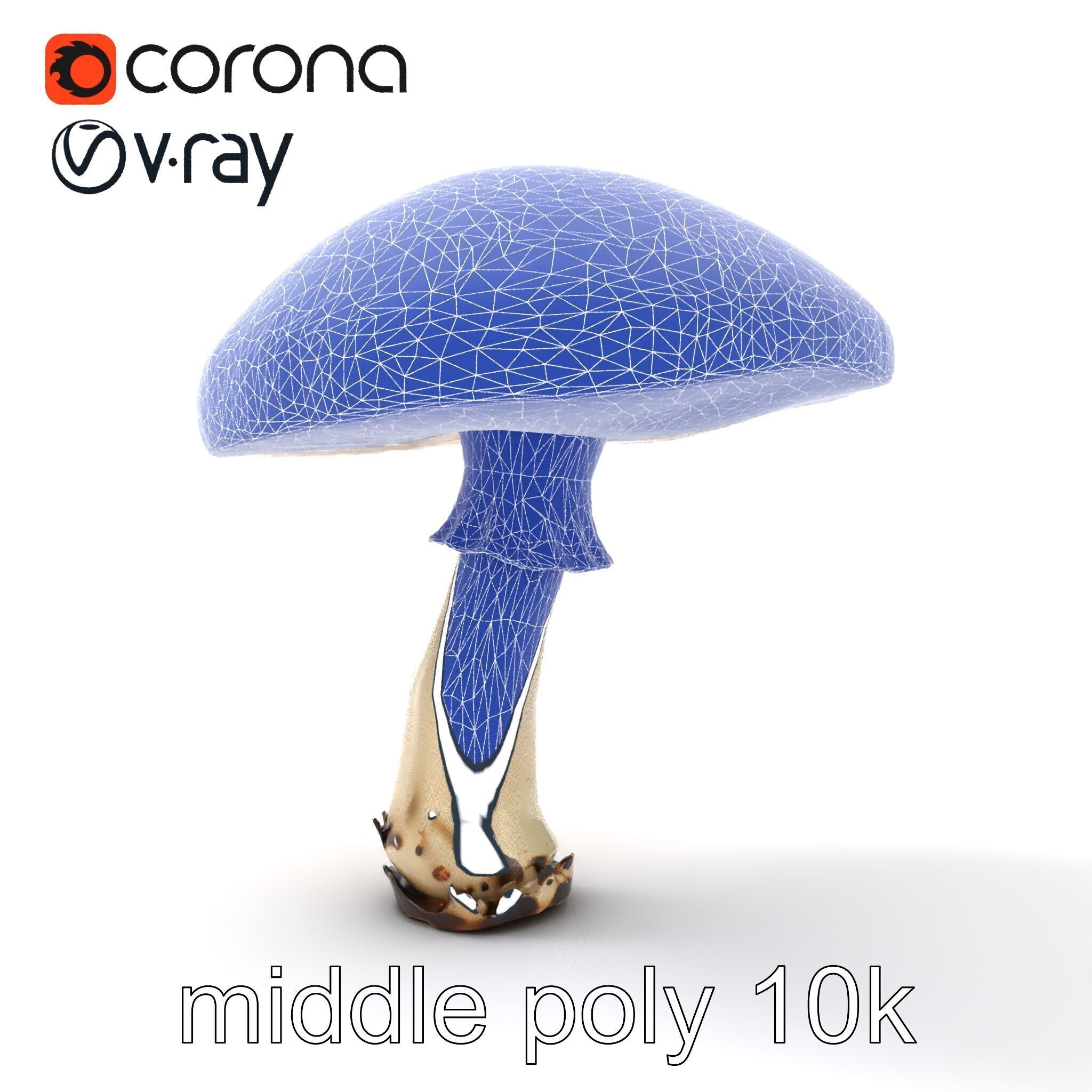 Realistic Mushroom Model Pack with Natural Textures Low-poly 3D model_30