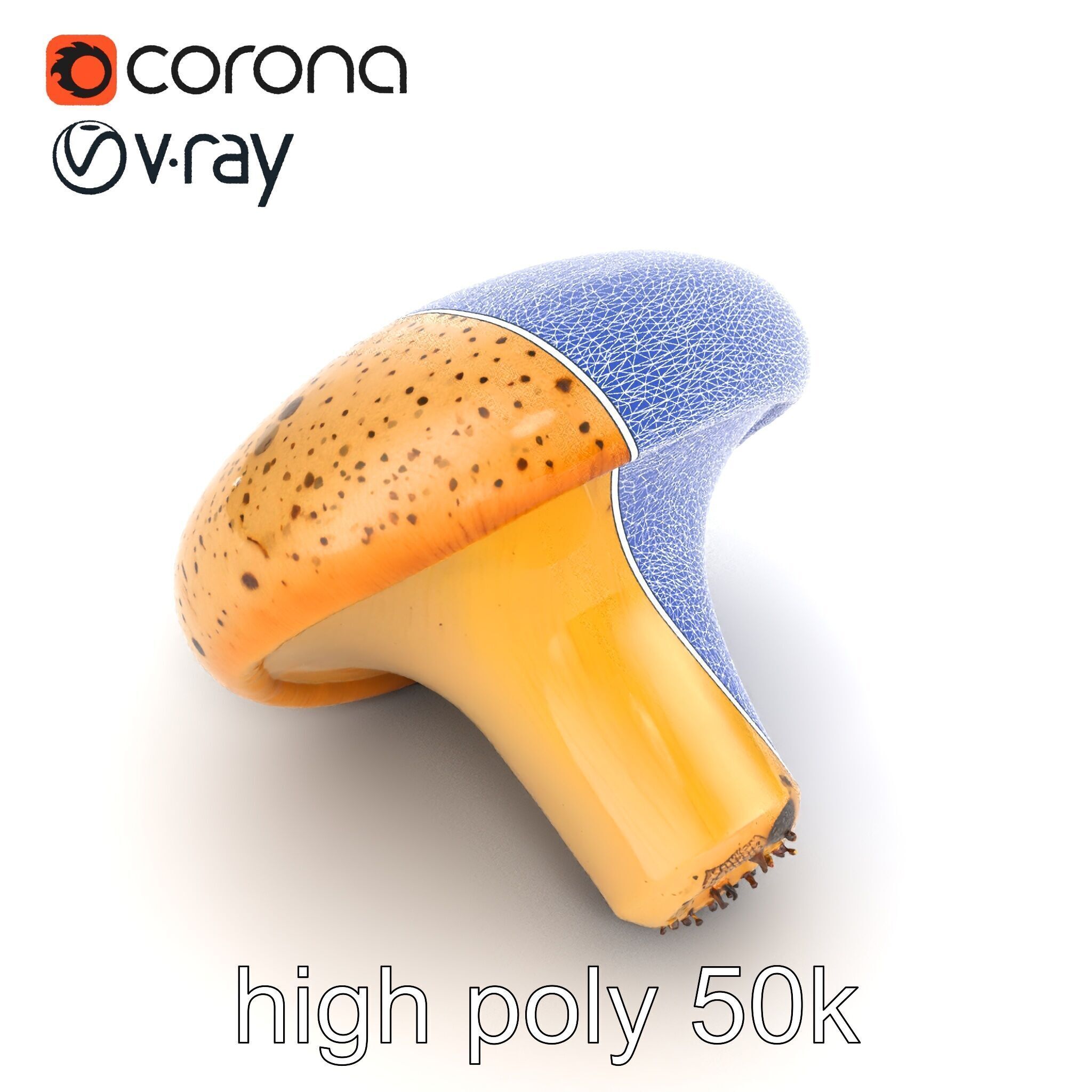 Realistic Mushroom Model Pack with Natural Textures Low-poly 3D model_53
