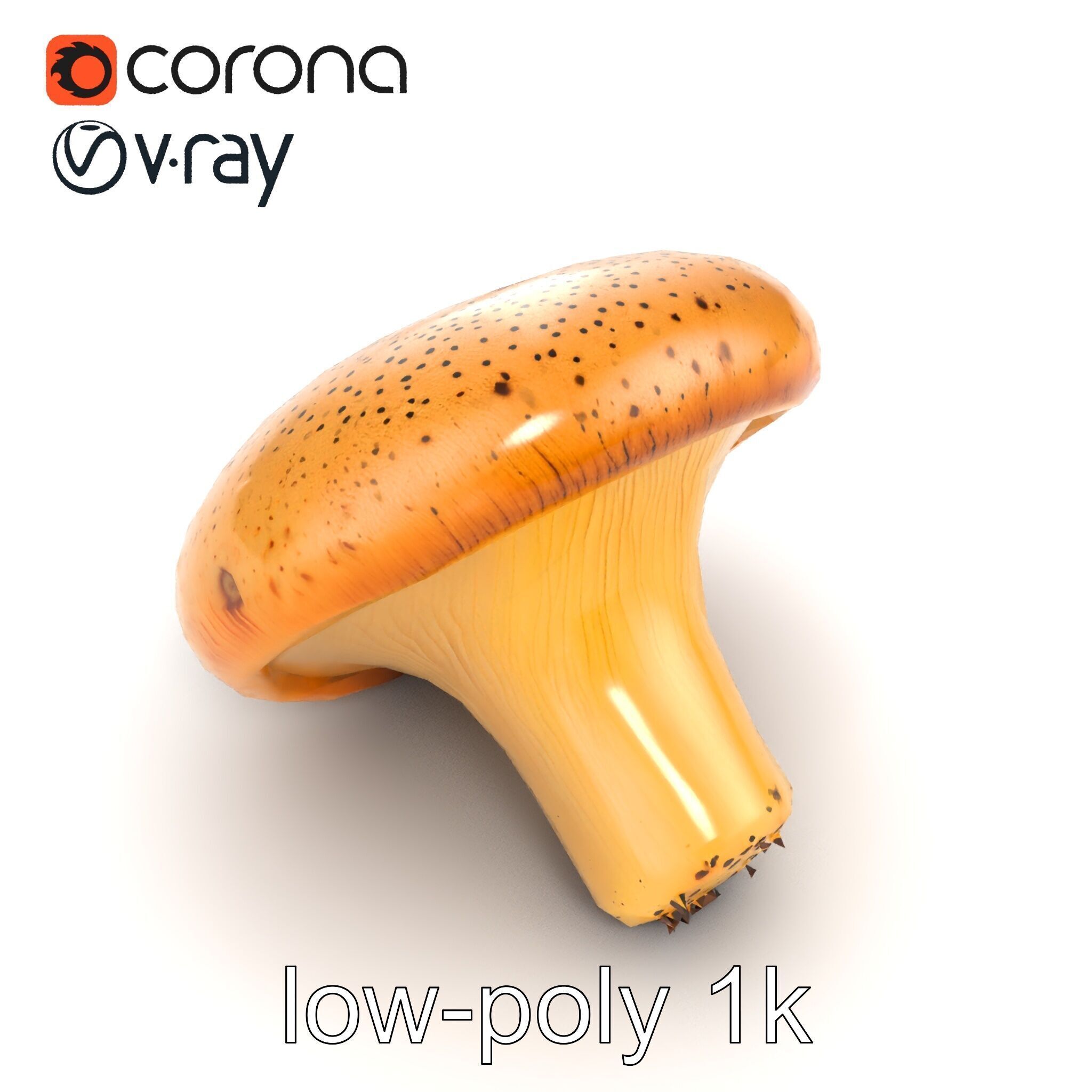 Realistic Mushroom Model Pack with Natural Textures Low-poly 3D model_48