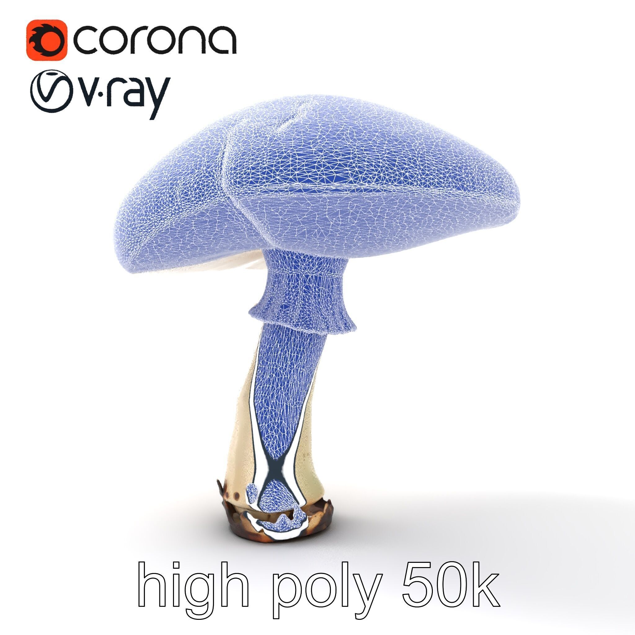 Realistic Mushroom Model Pack with Natural Textures Low-poly 3D model_20