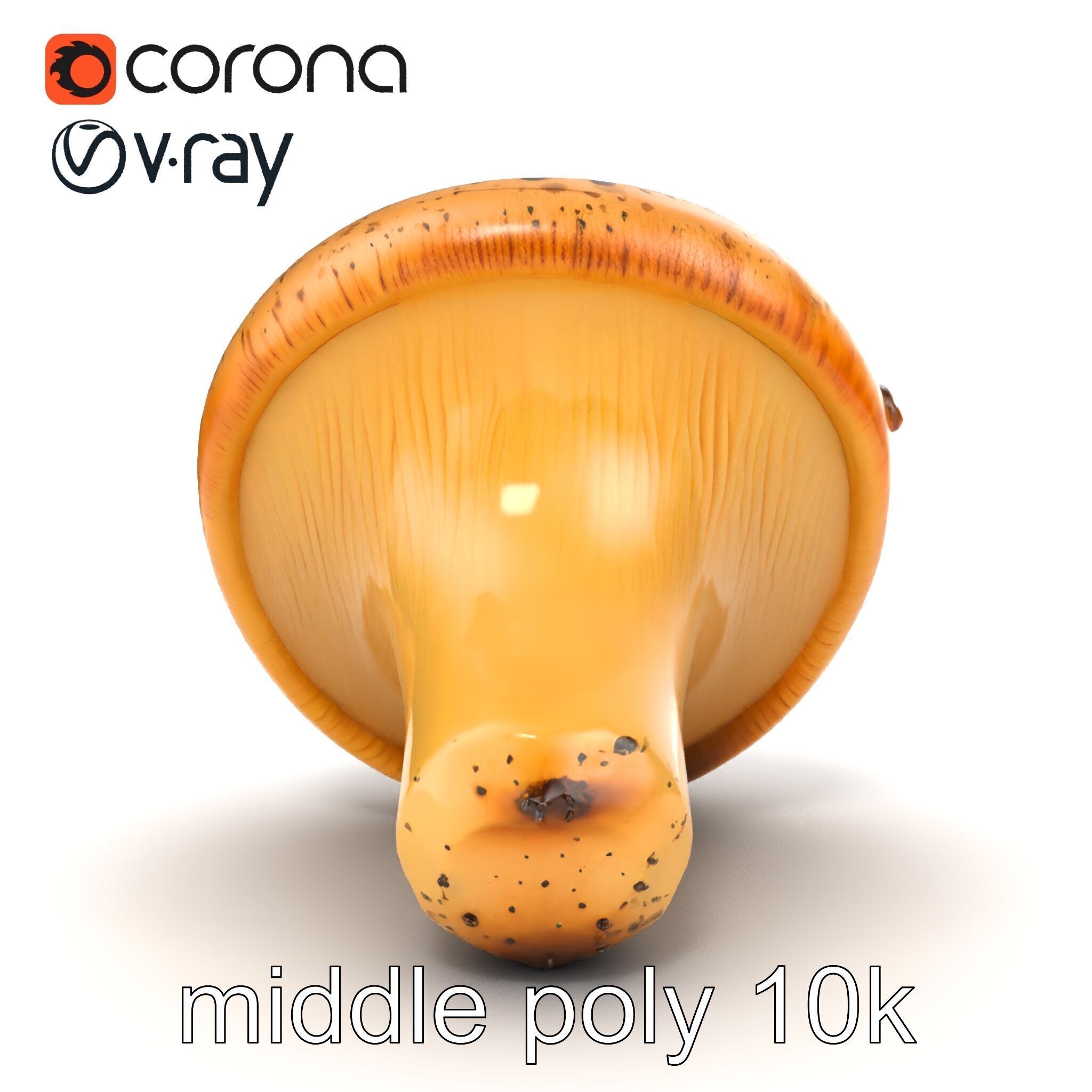 Realistic Mushroom Model Pack with Natural Textures Low-poly 3D model_43