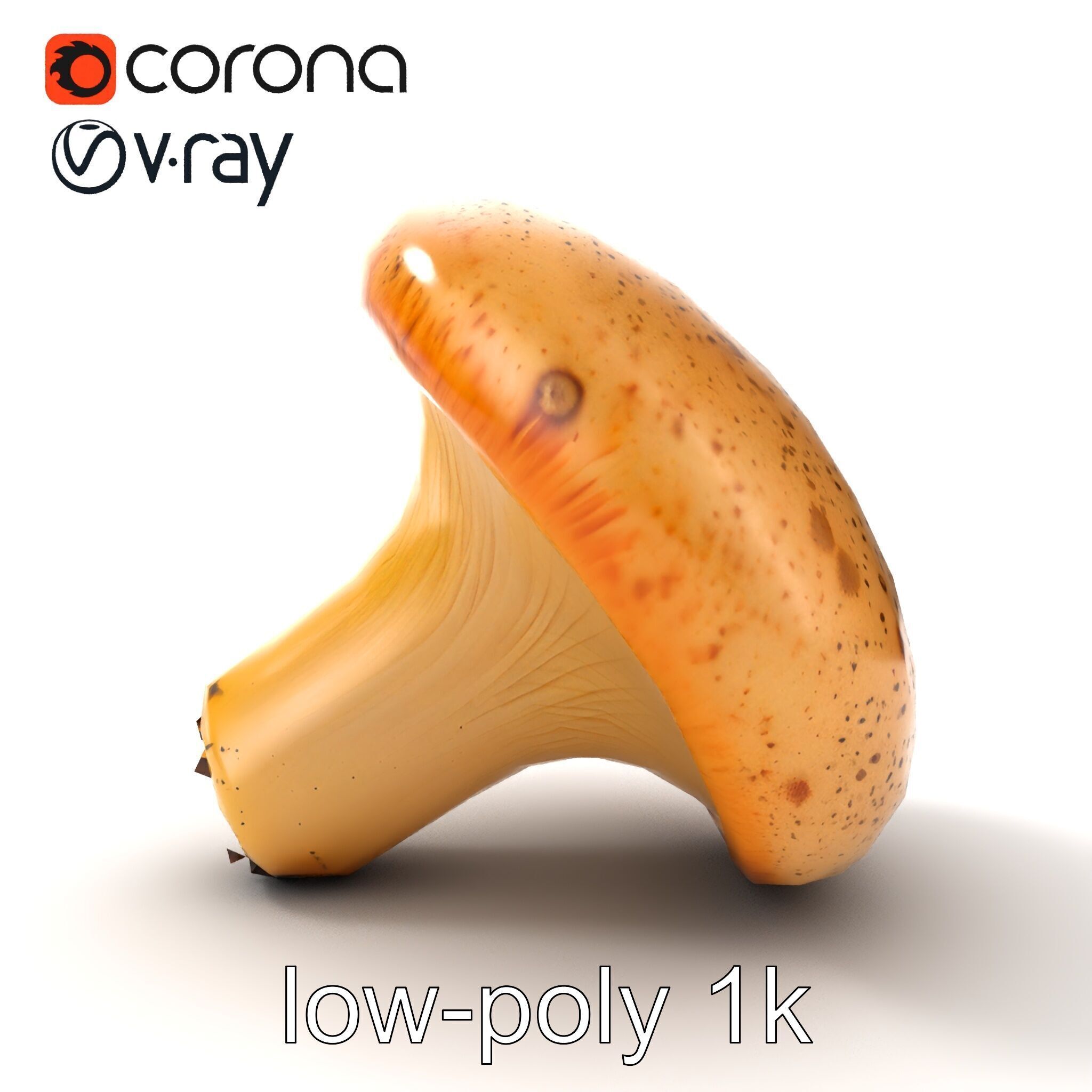 Realistic Mushroom Model Pack with Natural Textures Low-poly 3D model_49