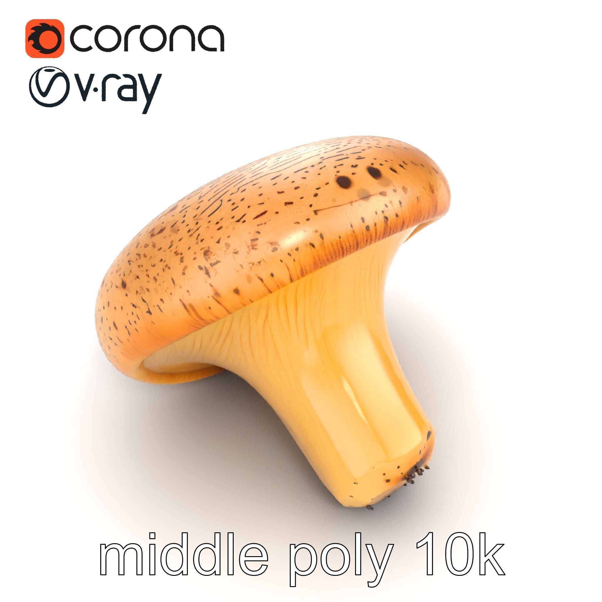 Realistic Mushroom Model Pack with Natural Textures Low-poly 3D model_41
