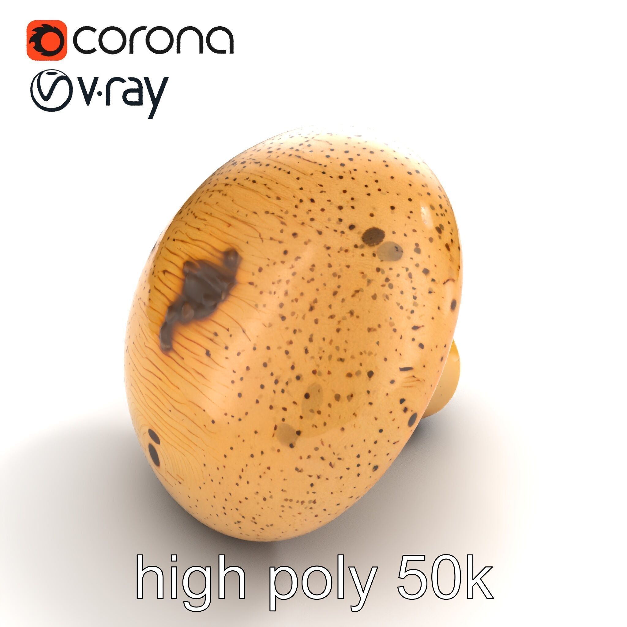 Realistic Mushroom Model Pack with Natural Textures Low-poly 3D model_40