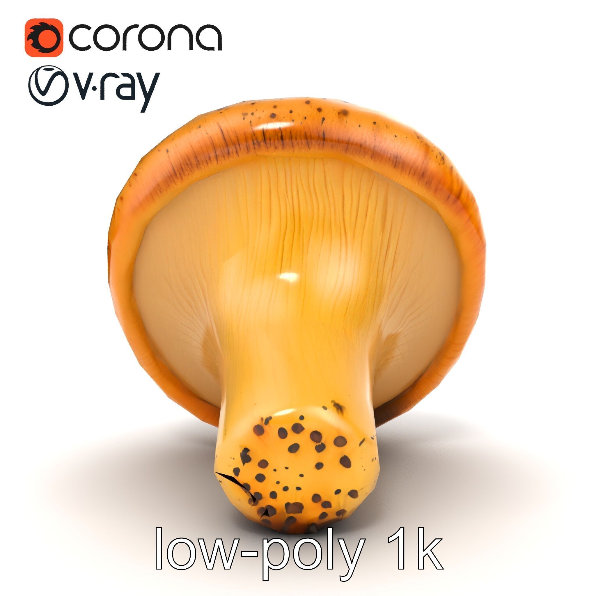Realistic Mushroom Model Pack with Natural Textures Low-poly 3D model_47