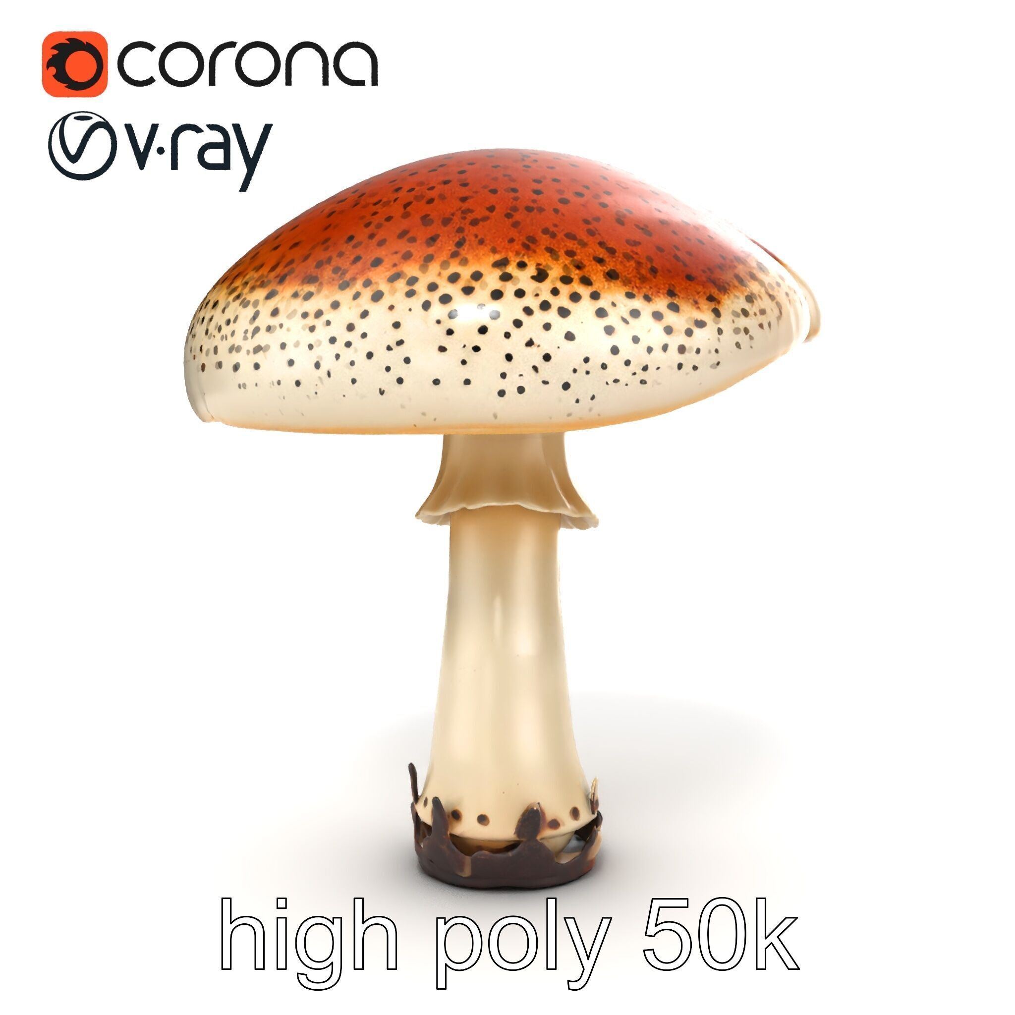 Realistic Mushroom Model Pack with Natural Textures Low-poly 3D model_26