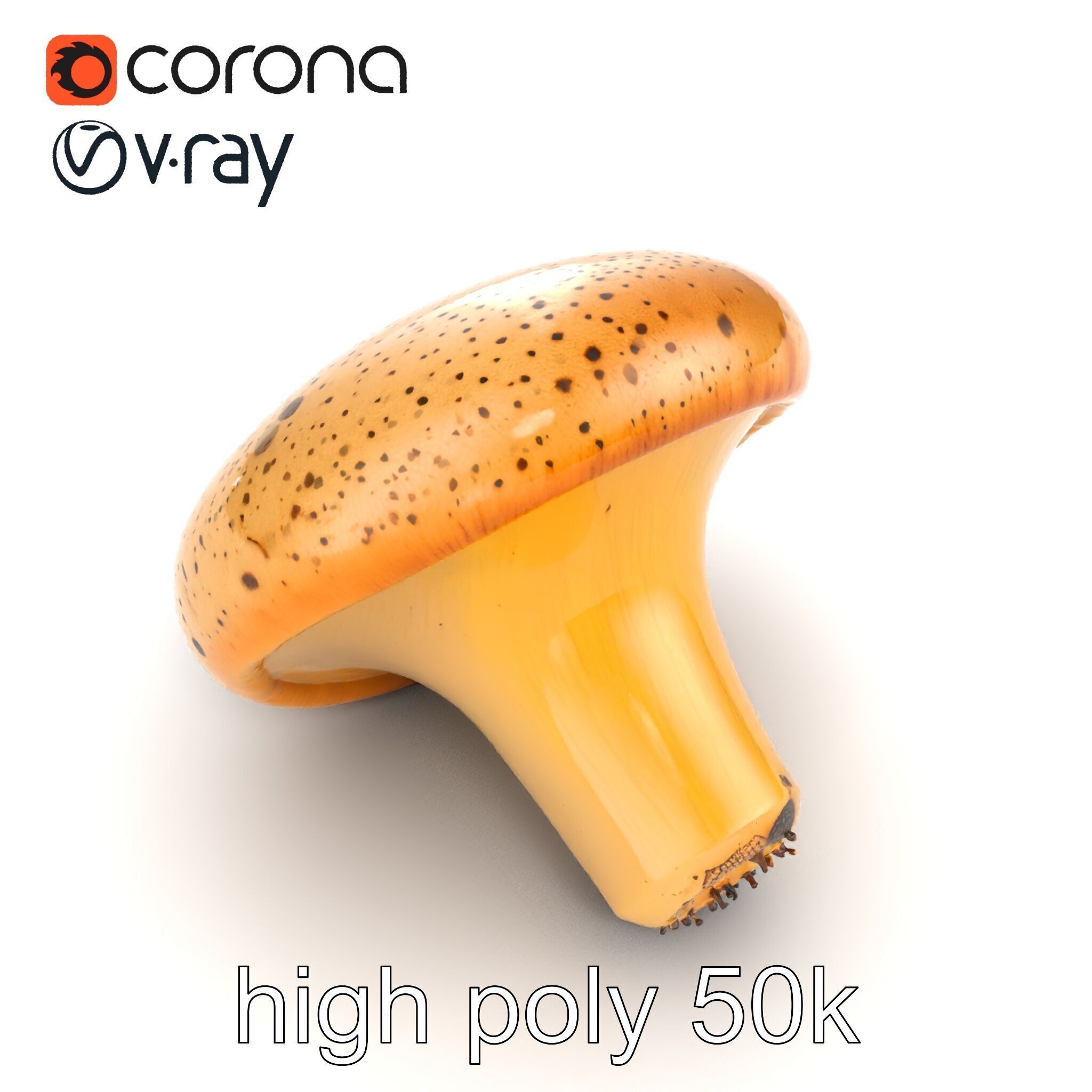 Realistic Mushroom Model Pack with Natural Textures Low-poly 3D model_42
