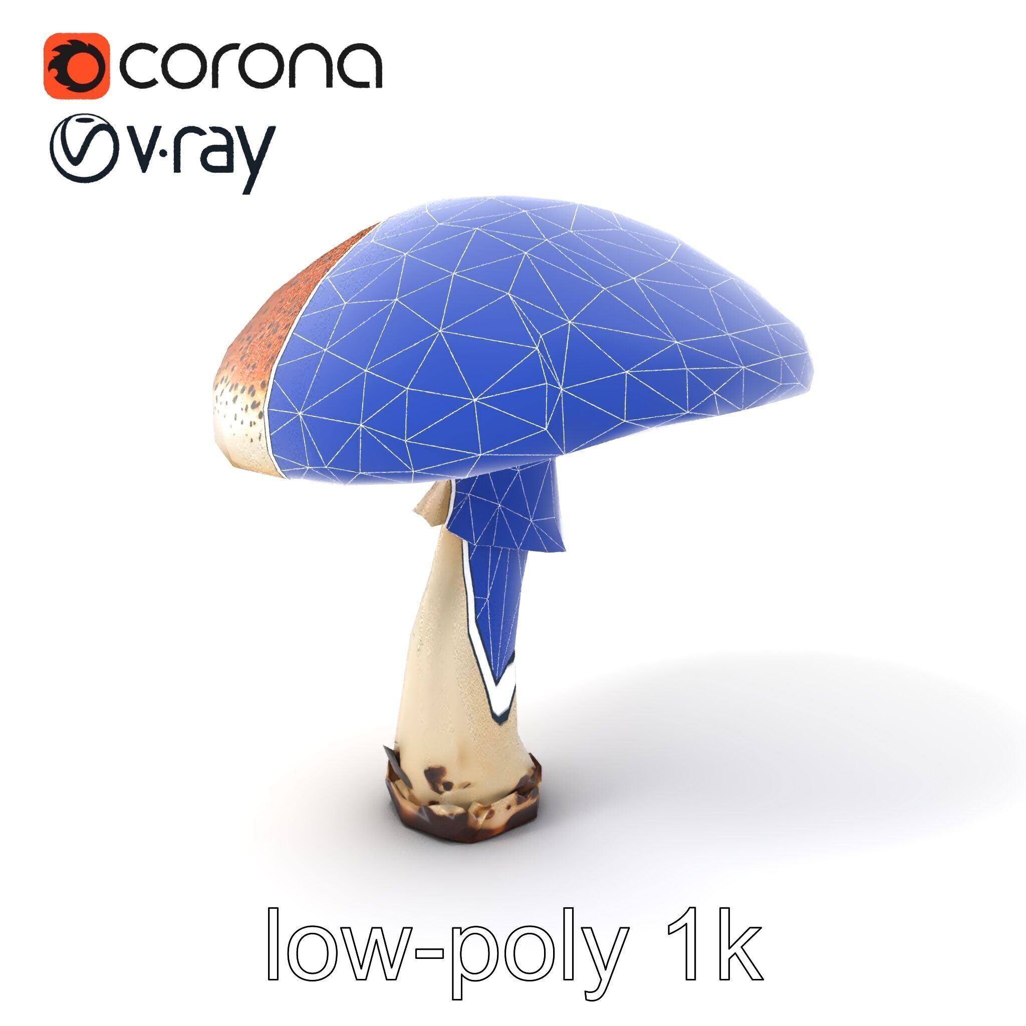 Realistic Mushroom Model Pack with Natural Textures Low-poly 3D model_6