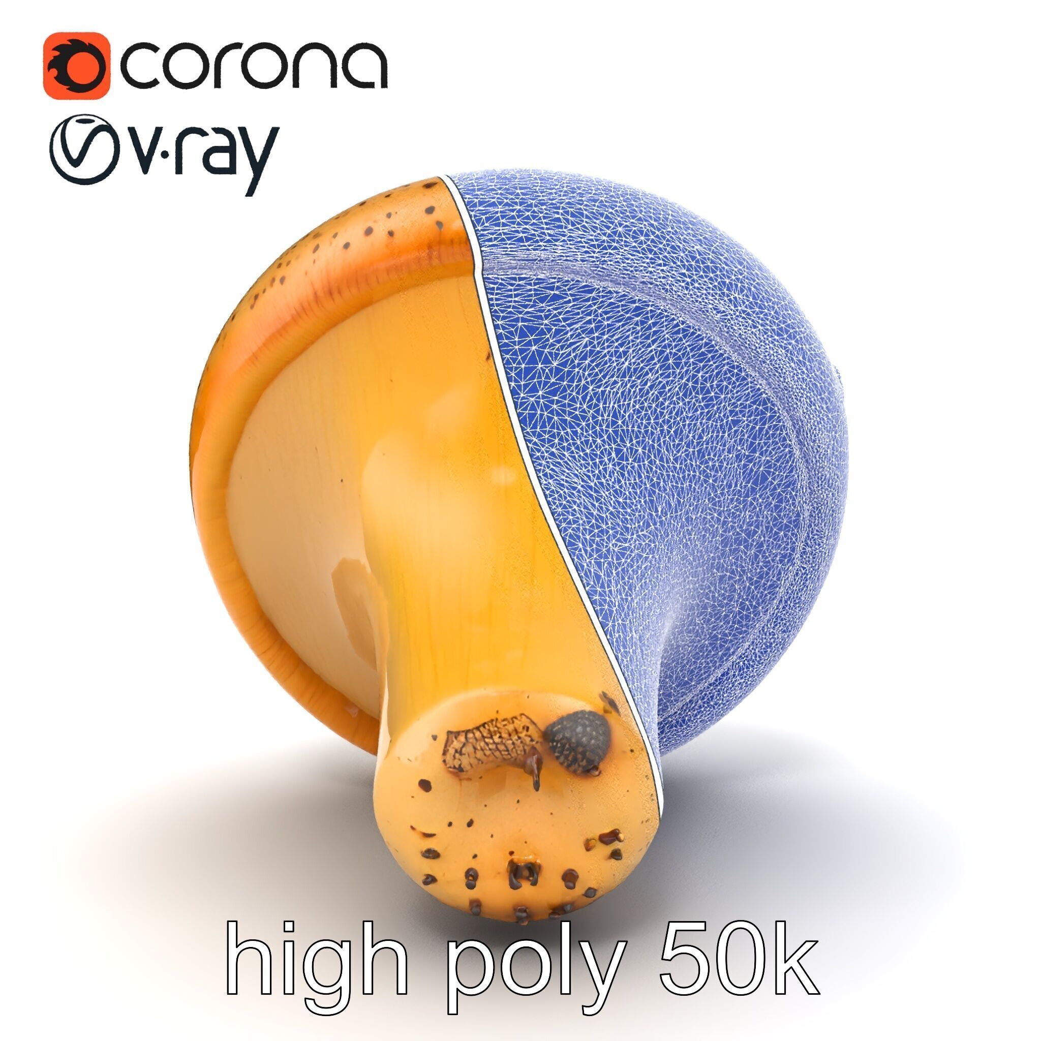 Realistic Mushroom Model Pack with Natural Textures Low-poly 3D model_57