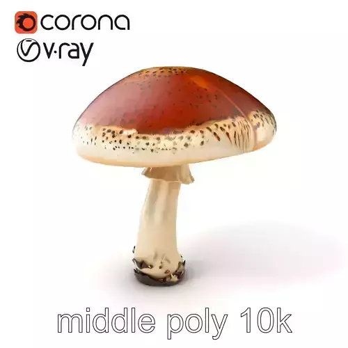 Realistic Mushroom Model Pack with Natural Textures Low-poly 3D model