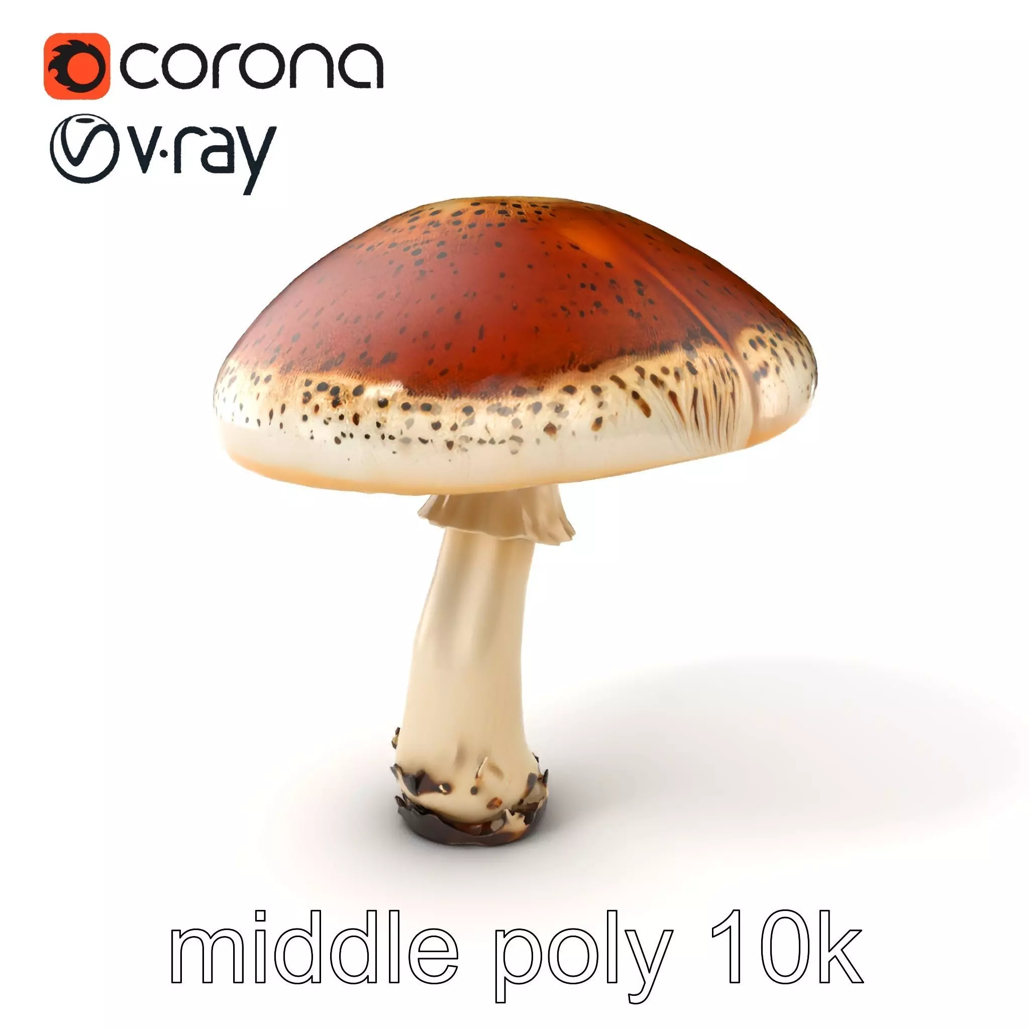 Realistic Mushroom Model Pack with Natural Textures Low-poly 3D model_0