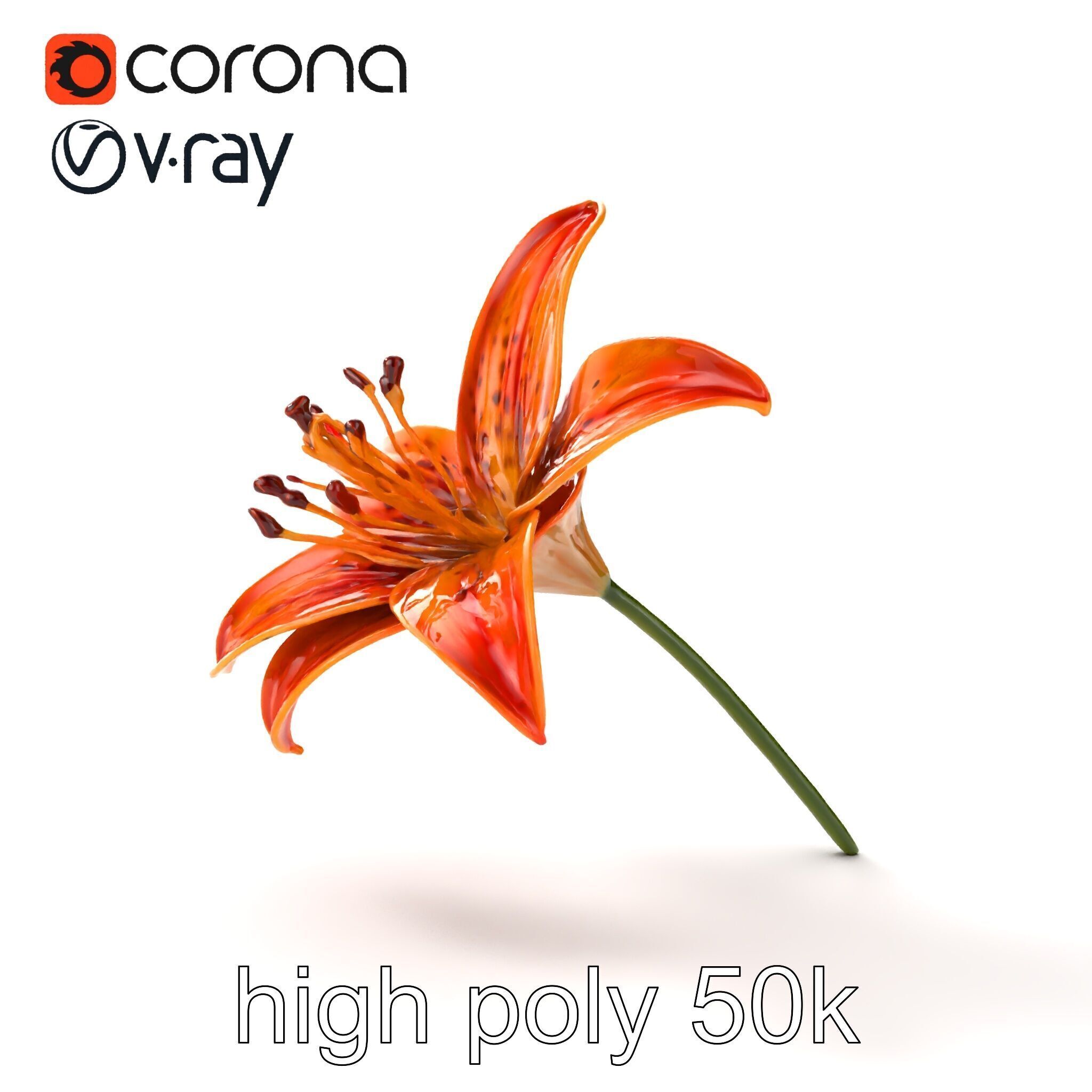 Tiger Lily Flower Realistic Model Pack Low-poly 3D model_20