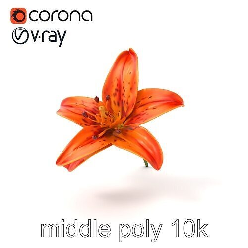 Tiger Lily Flower Realistic Model Pack Low-poly 3D model