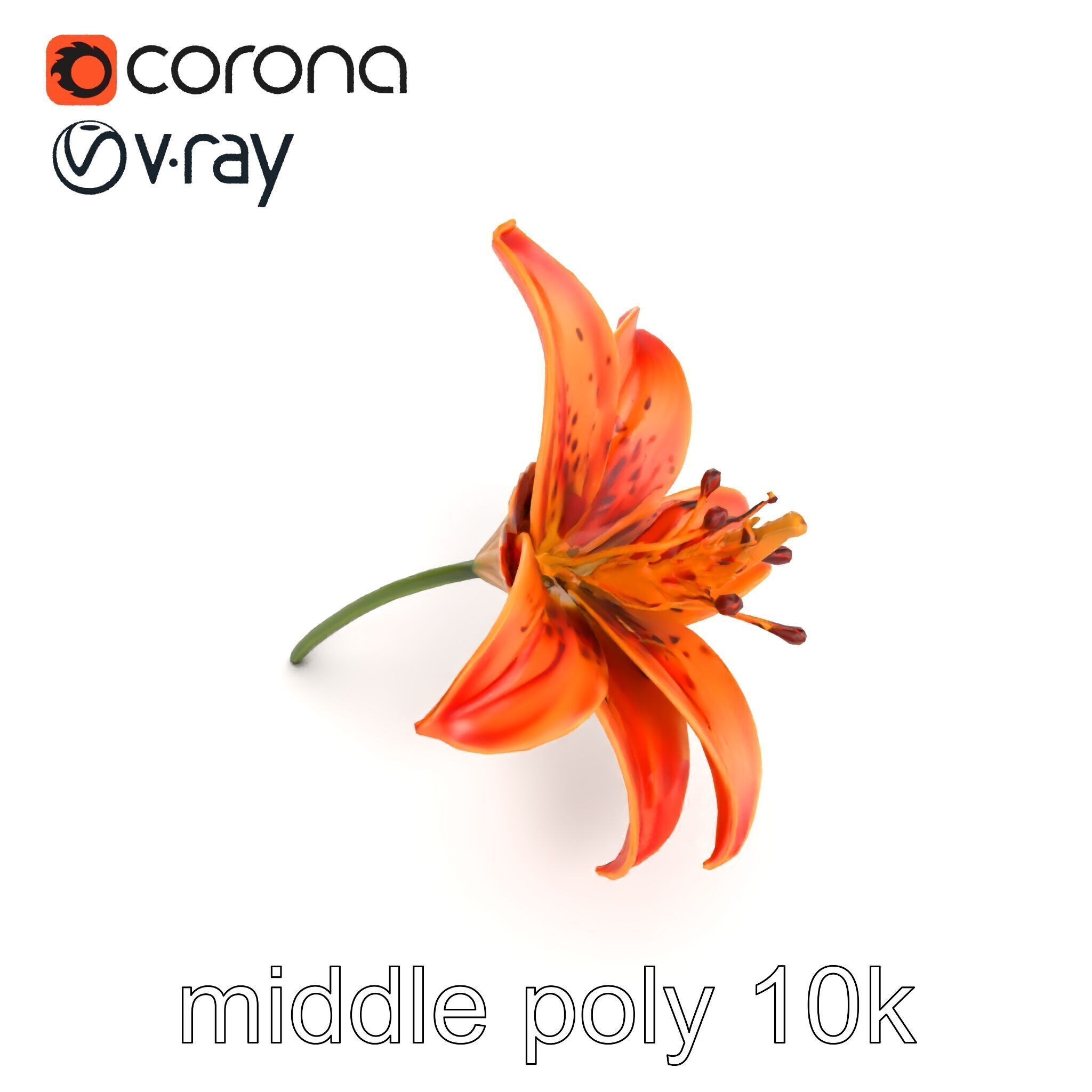 Tiger Lily Flower Realistic Model Pack Low-poly 3D model_13