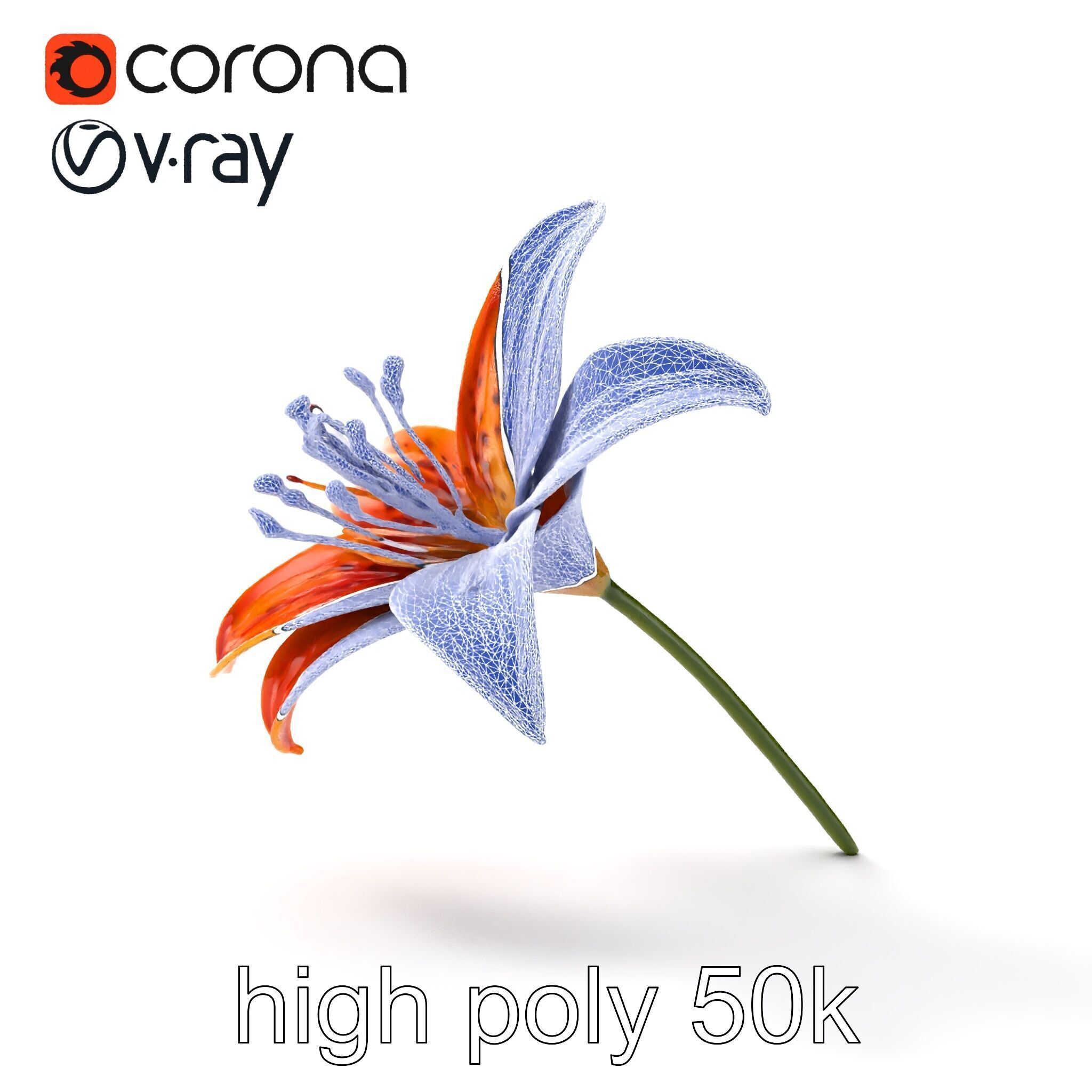 Tiger Lily Flower Realistic Model Pack Low-poly 3D model_24
