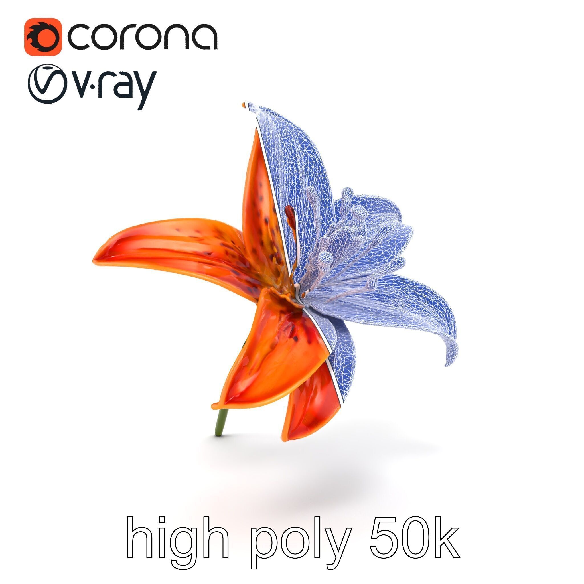 Tiger Lily Flower Realistic Model Pack Low-poly 3D model_30