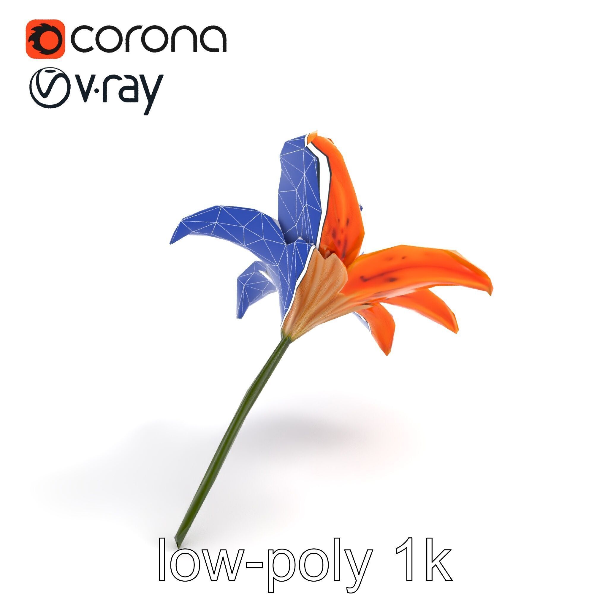 Tiger Lily Flower Realistic Model Pack Low-poly 3D model_15