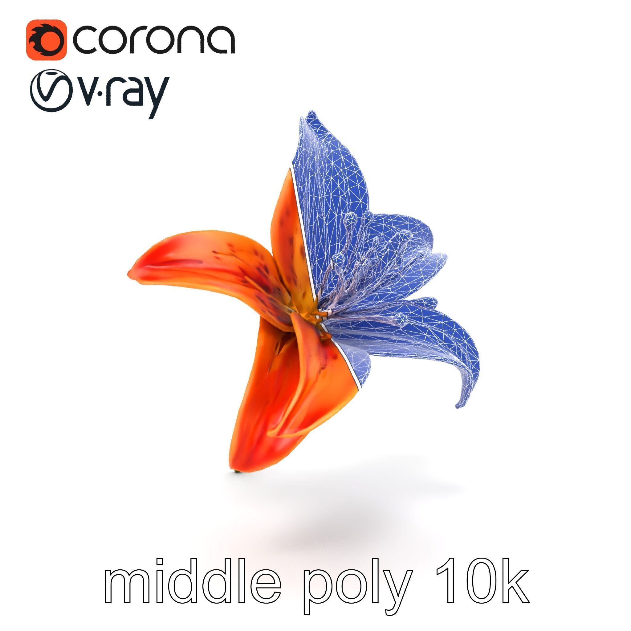 Tiger Lily Flower Realistic Model Pack Low-poly 3D model_28