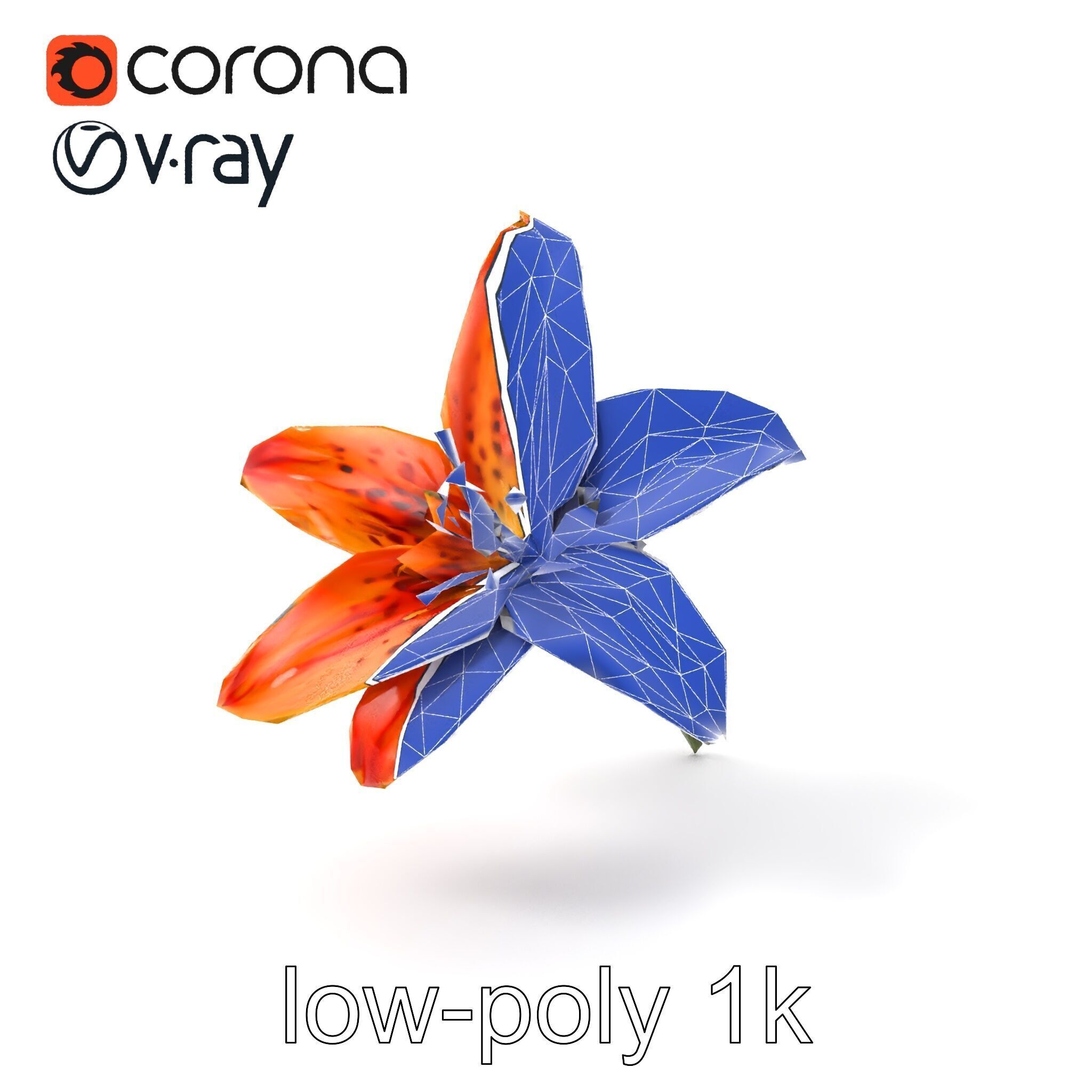 Tiger Lily Flower Realistic Model Pack Low-poly 3D model_6