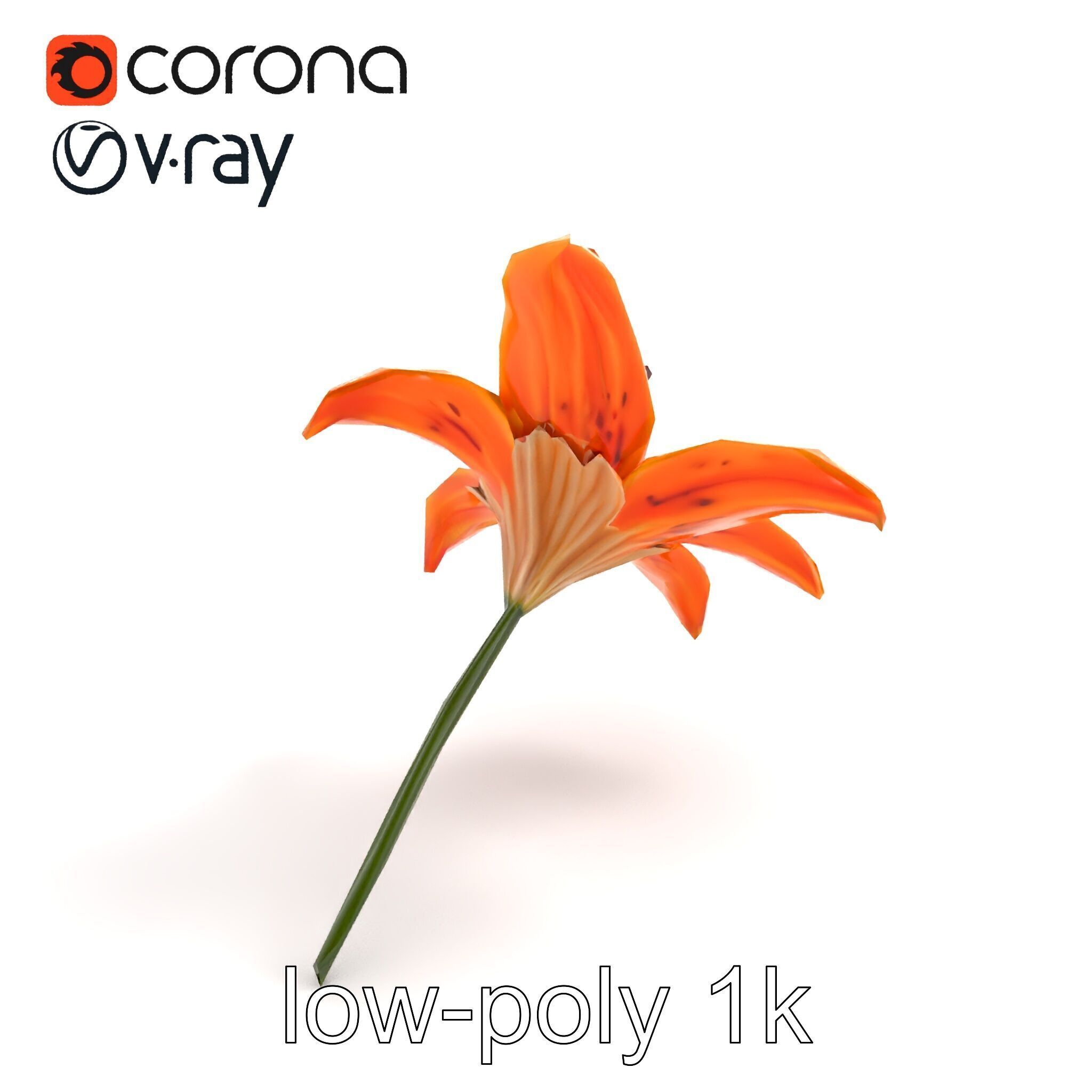 Tiger Lily Flower Realistic Model Pack Low-poly 3D model_8