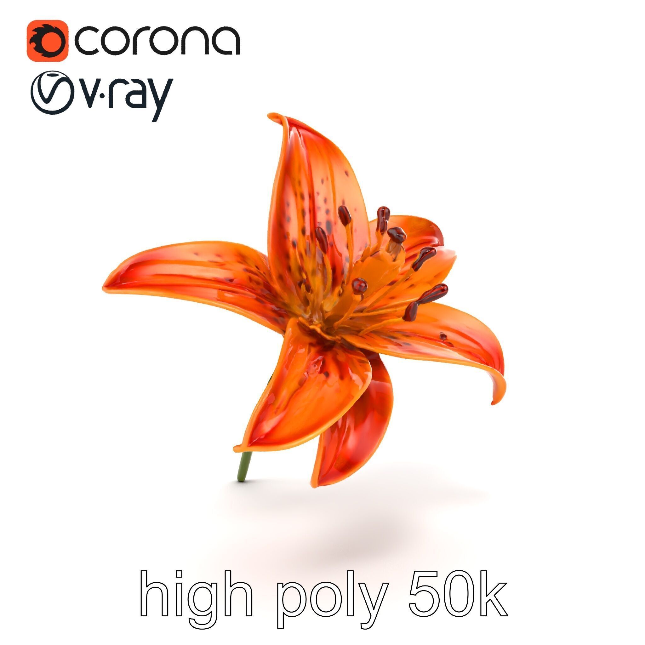 Tiger Lily Flower Realistic Model Pack Low-poly 3D model_18