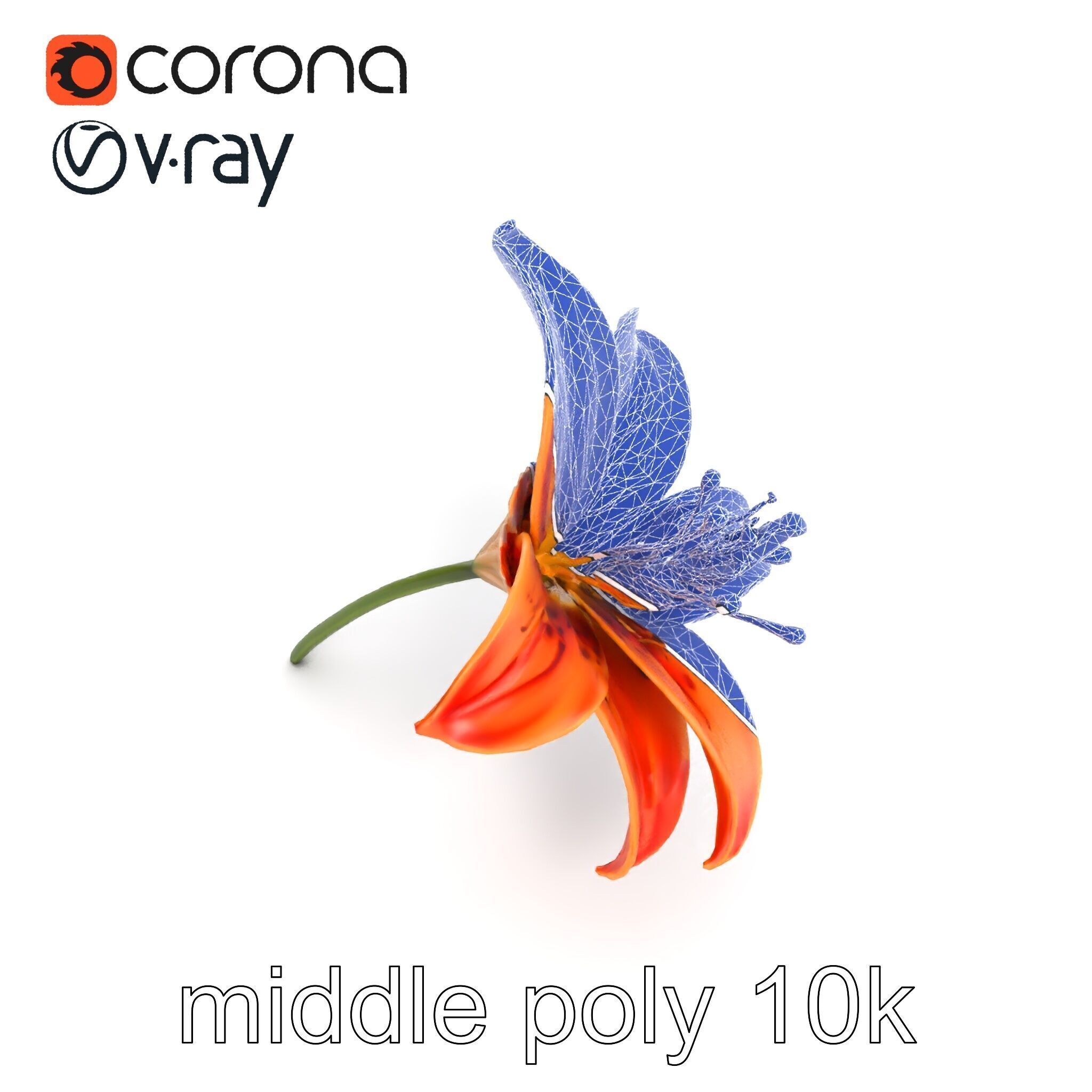 Tiger Lily Flower Realistic Model Pack Low-poly 3D model_17