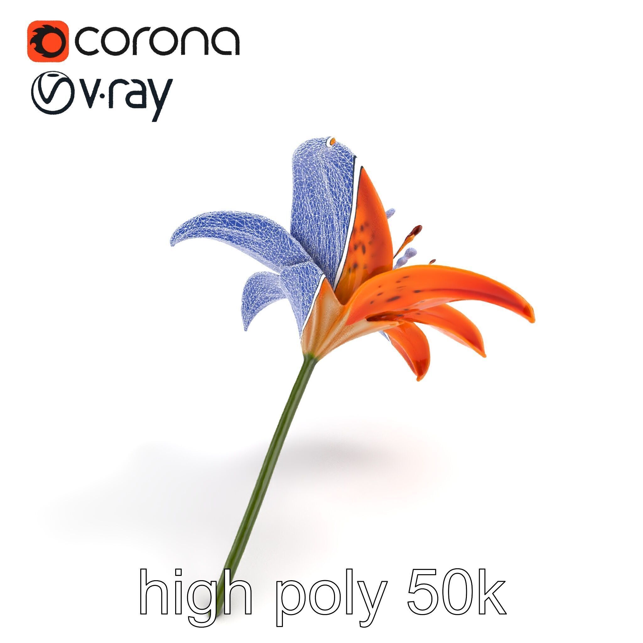 Tiger Lily Flower Realistic Model Pack Low-poly 3D model_26