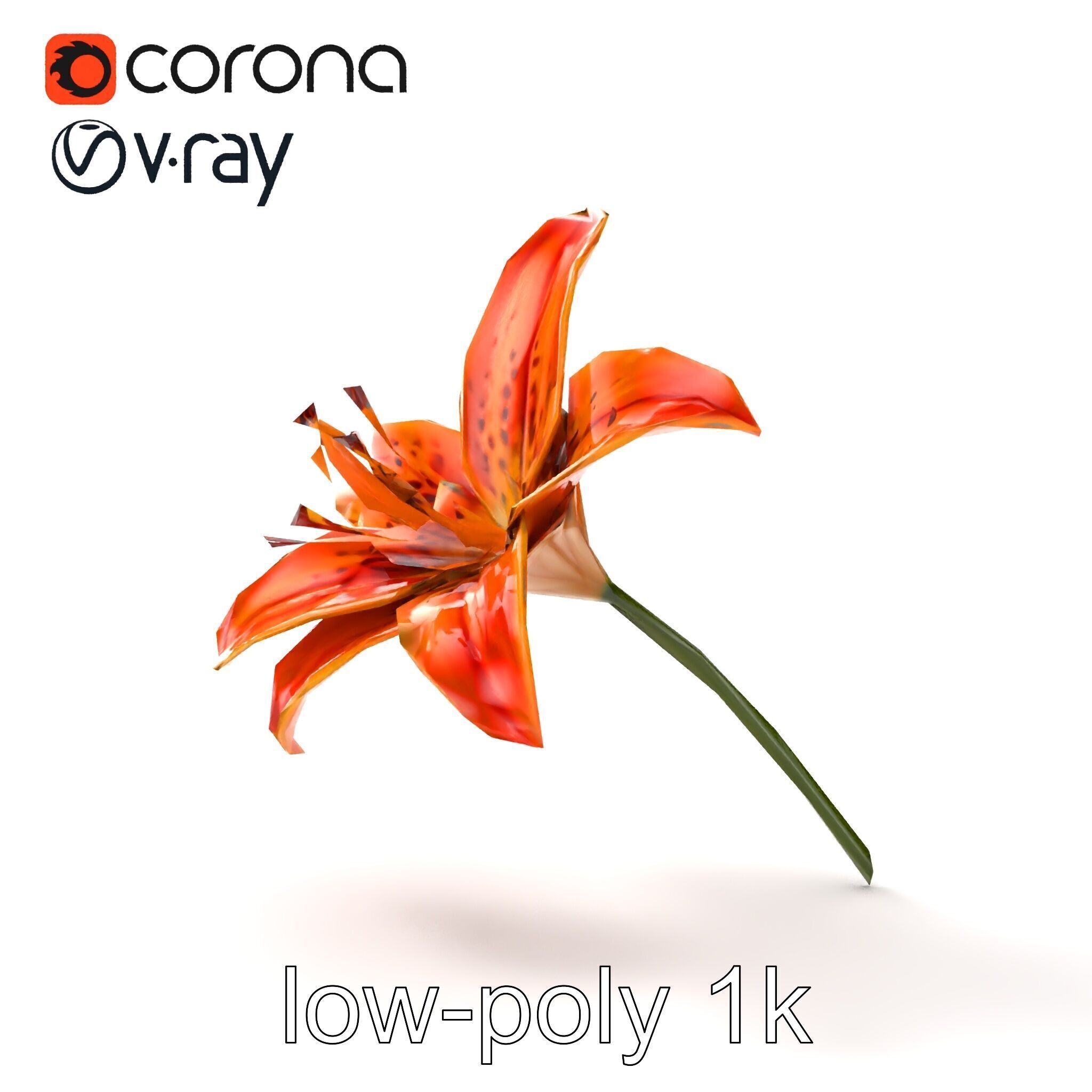 Tiger Lily Flower Realistic Model Pack Low-poly 3D model_29
