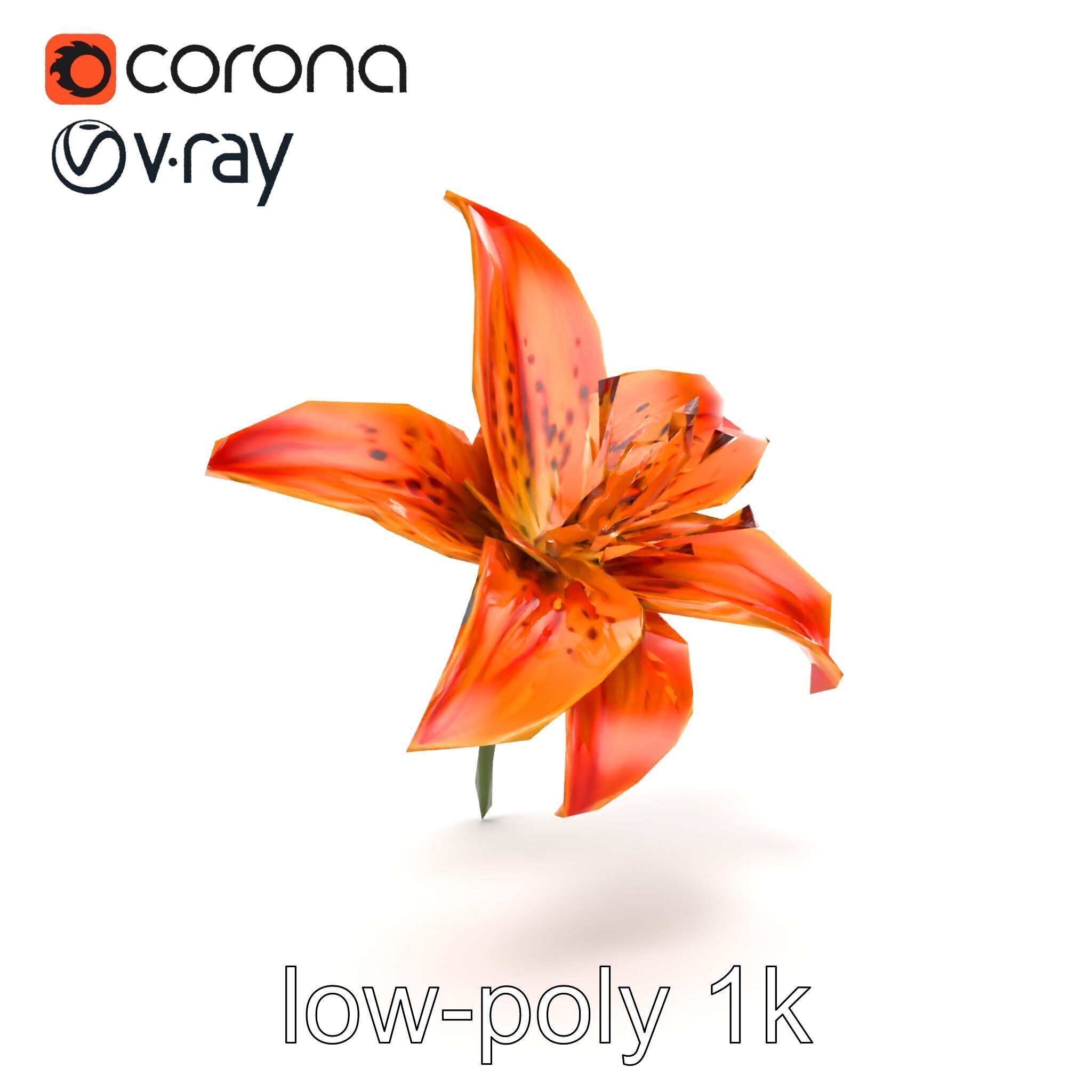 Tiger Lily Flower Realistic Model Pack Low-poly 3D model_16
